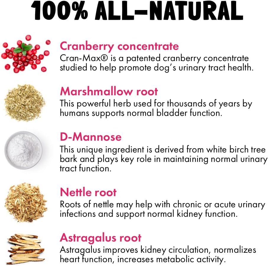 Natural Cranberry UTI Chews for Dogs - Kidney & Urinary Tract Health - Immune System Support - 30 Chews