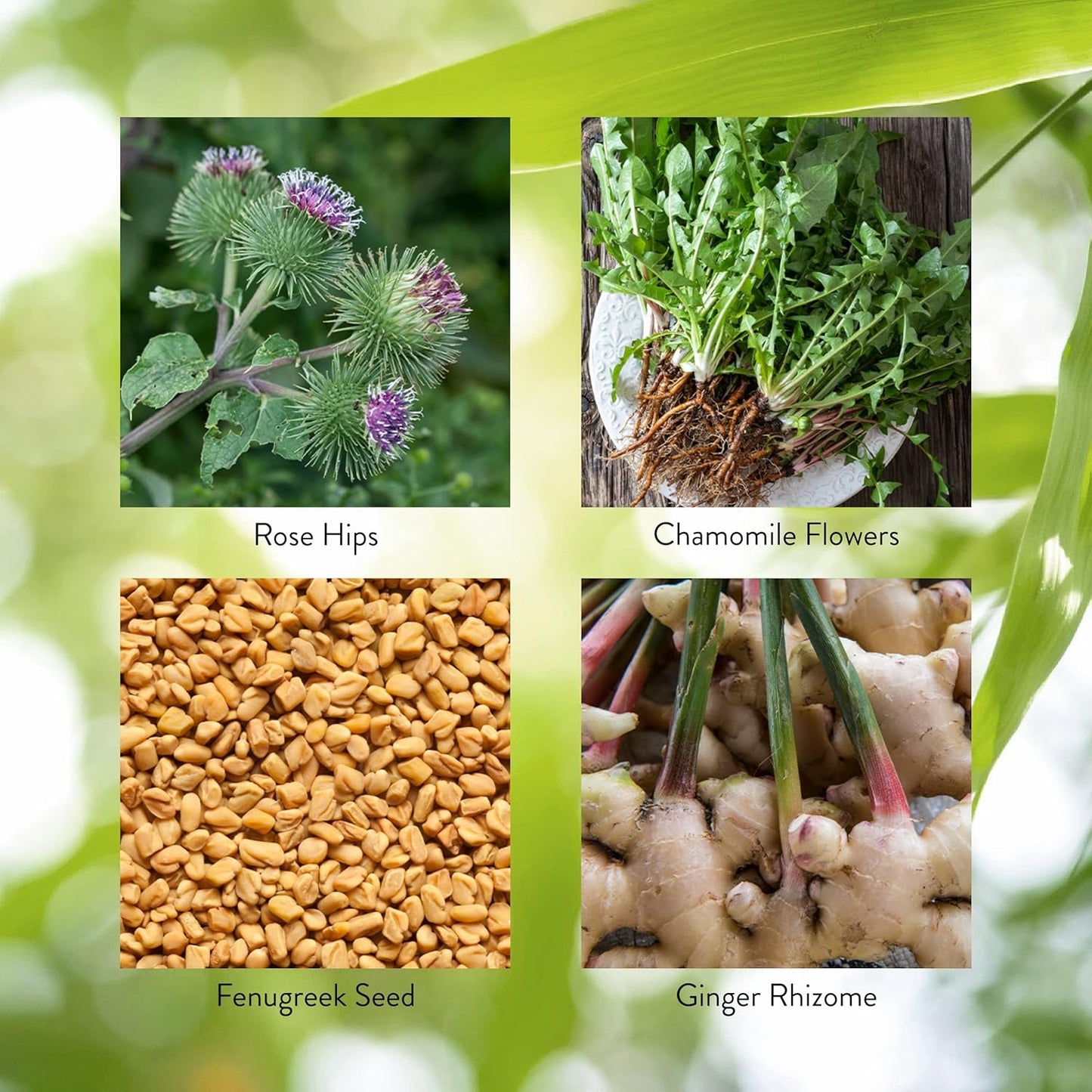 Natural Detox Supplement, 100 Capsules | Eliminates Pollutants, Boosts Digestion, and Supports Cleansing Processes