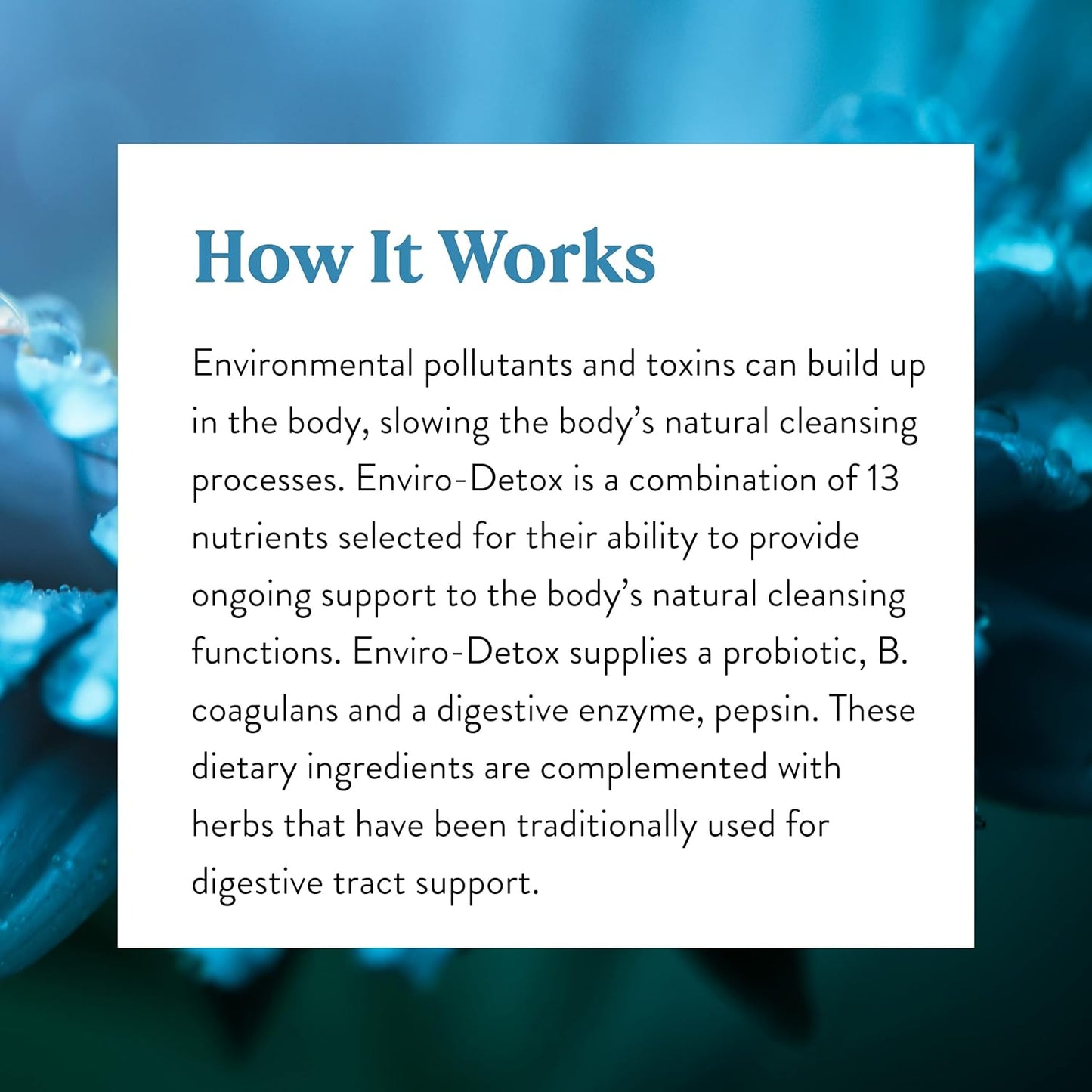 Natural Detox Supplement, 100 Capsules | Eliminates Pollutants, Boosts Digestion, and Supports Cleansing Processes