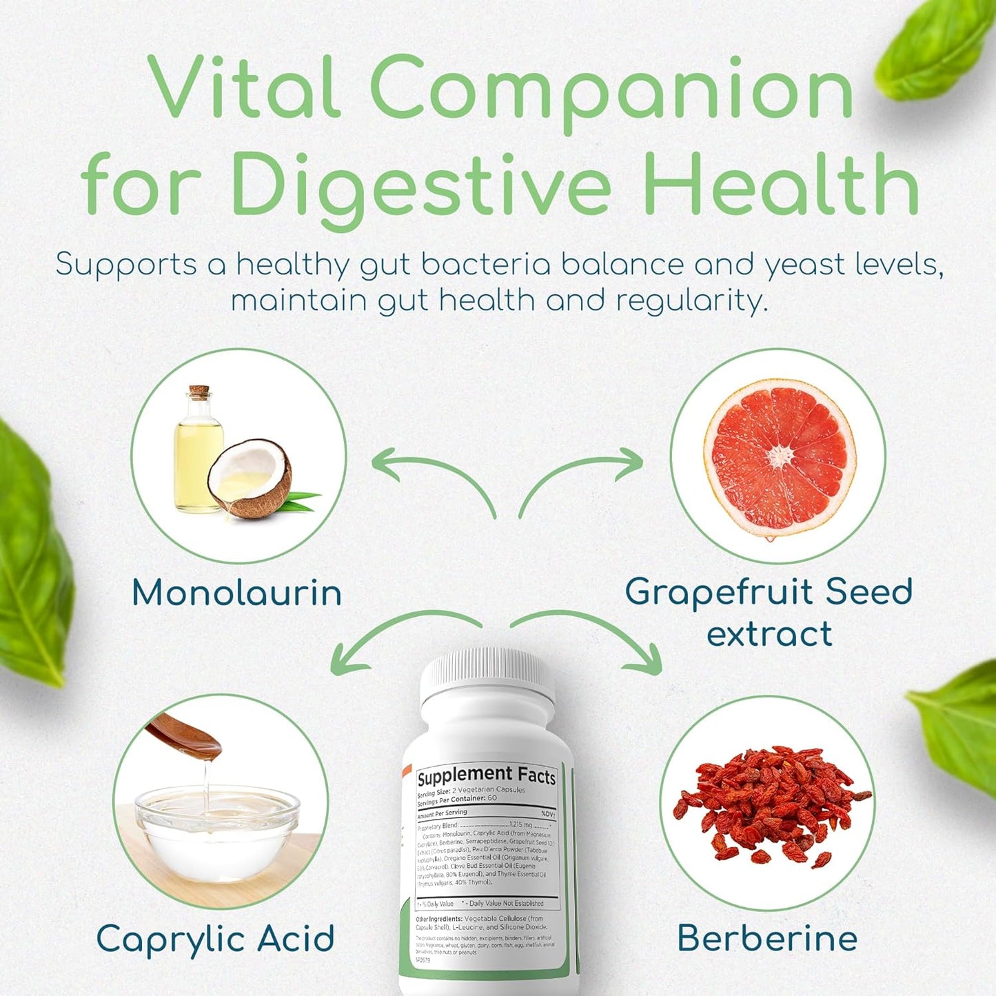 Natural Digestive Health Supplement for Men and Women - Promotes Healthy Microbiome Balance with Monolaurin and Caprylic Acid - Supports Gut Health and Detoxification - 120 Capsules