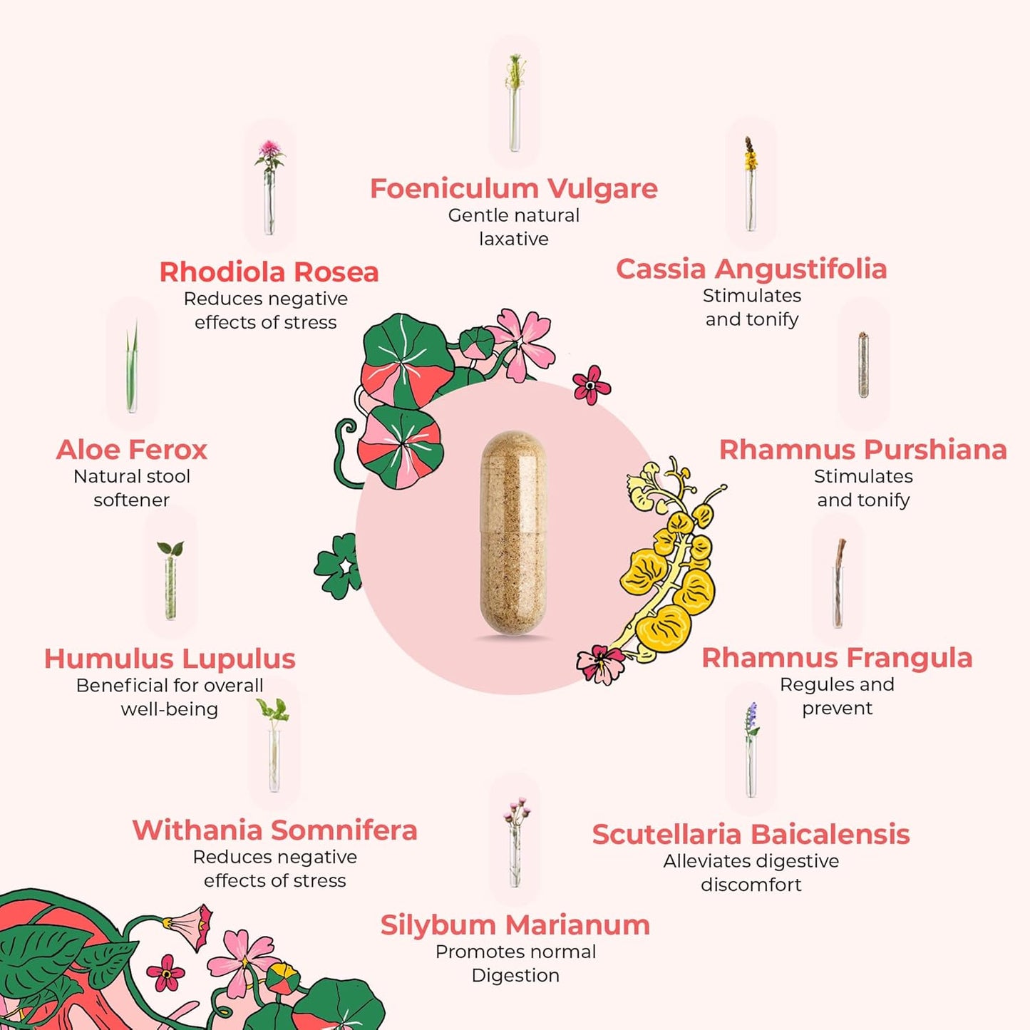 Natural Digestive Relief Capsules for Women - Gentle Laxative, Constipation, Gas, and Bloating Relief - Vegan and Gluten-Free - 100 Capsules