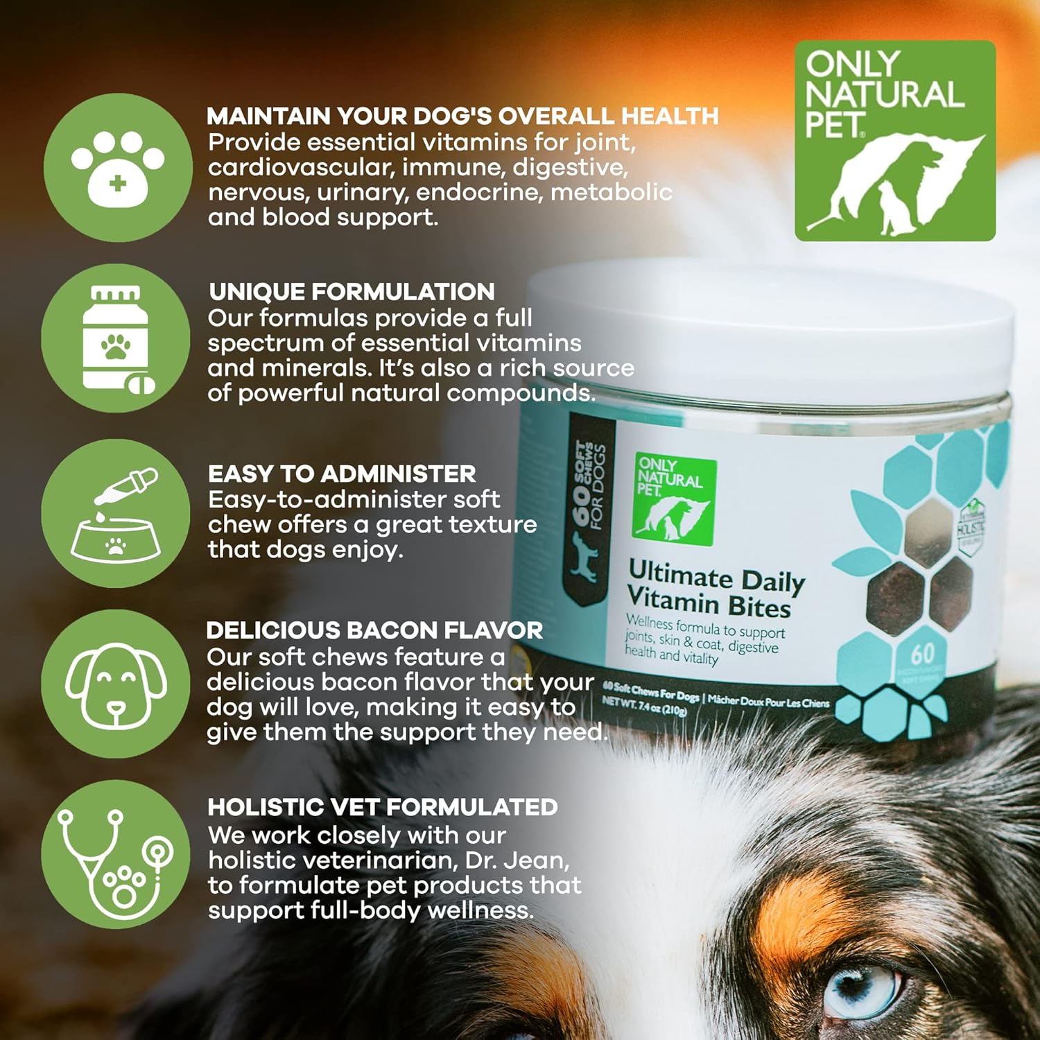 Natural Dog Multivitamin Chews for Senior Health & Vitality - Complete Immune & Digestive Support - 60 Soft Chews
