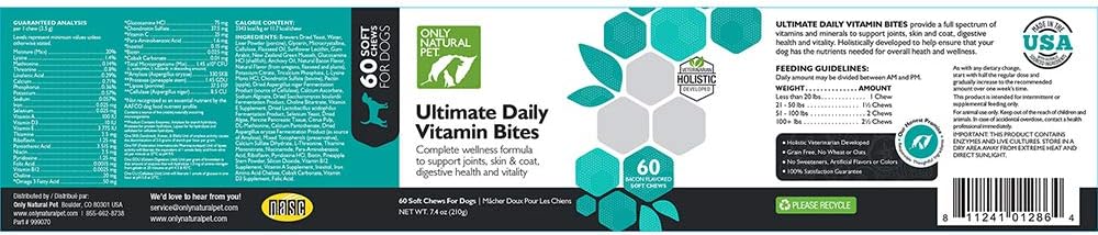 Natural Dog Multivitamin Chews for Senior Health & Vitality - Complete Immune & Digestive Support - 60 Soft Chews