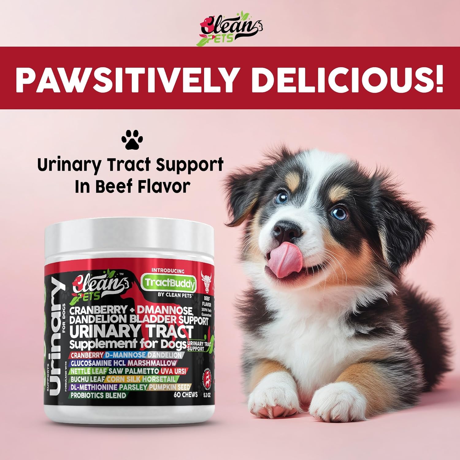Natural Dog Urinary Tract Support with Cranberry, D-Mannose, and Herbal Ingredients for Bladder Health and UTI Prevention