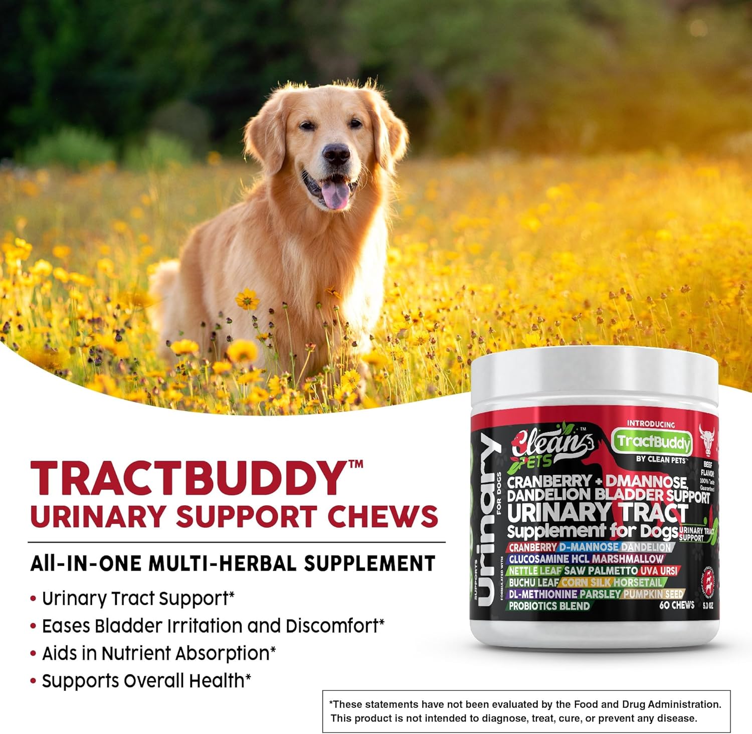 Natural Dog Urinary Tract Support with Cranberry, D-Mannose, and Herbal Ingredients for Bladder Health and UTI Prevention