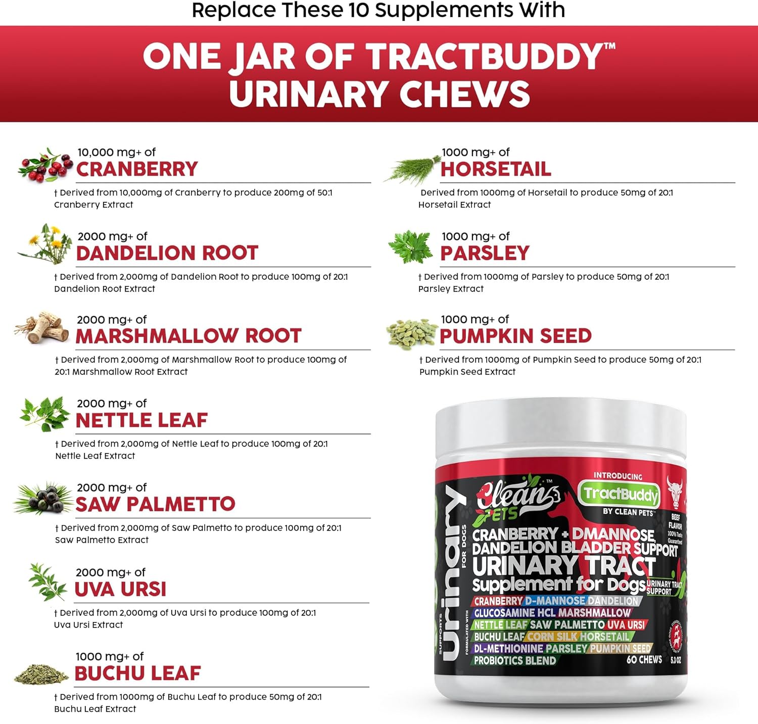 Natural Dog Urinary Tract Support with Cranberry, D-Mannose, and Herbal Ingredients for Bladder Health and UTI Prevention
