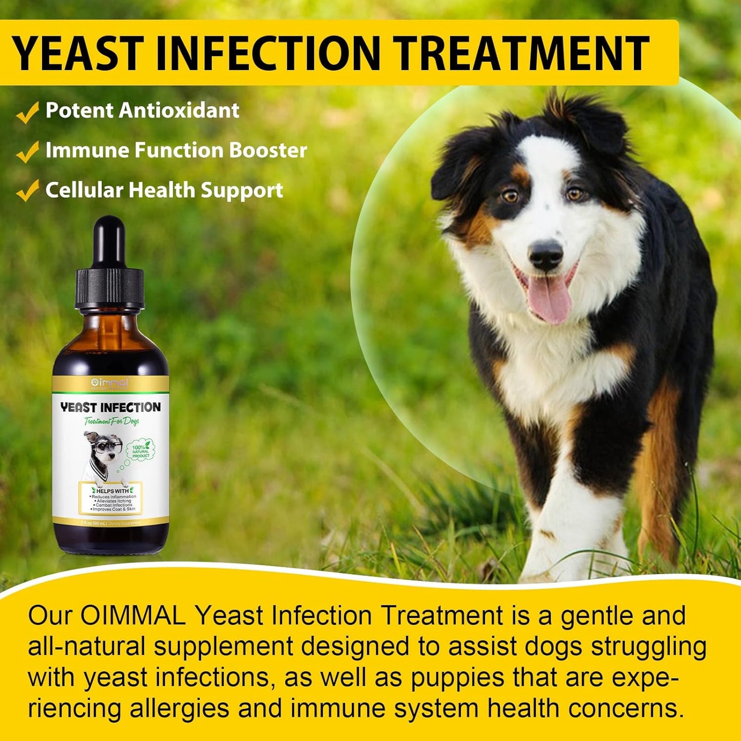Natural Dog Yeast Infection Treatment with Bacon Flavor - 2 Fl Oz, Supports Ear Infection & Allergy Itch Relief, Reduces Inflammation, Improves Coat & Skin - akareni