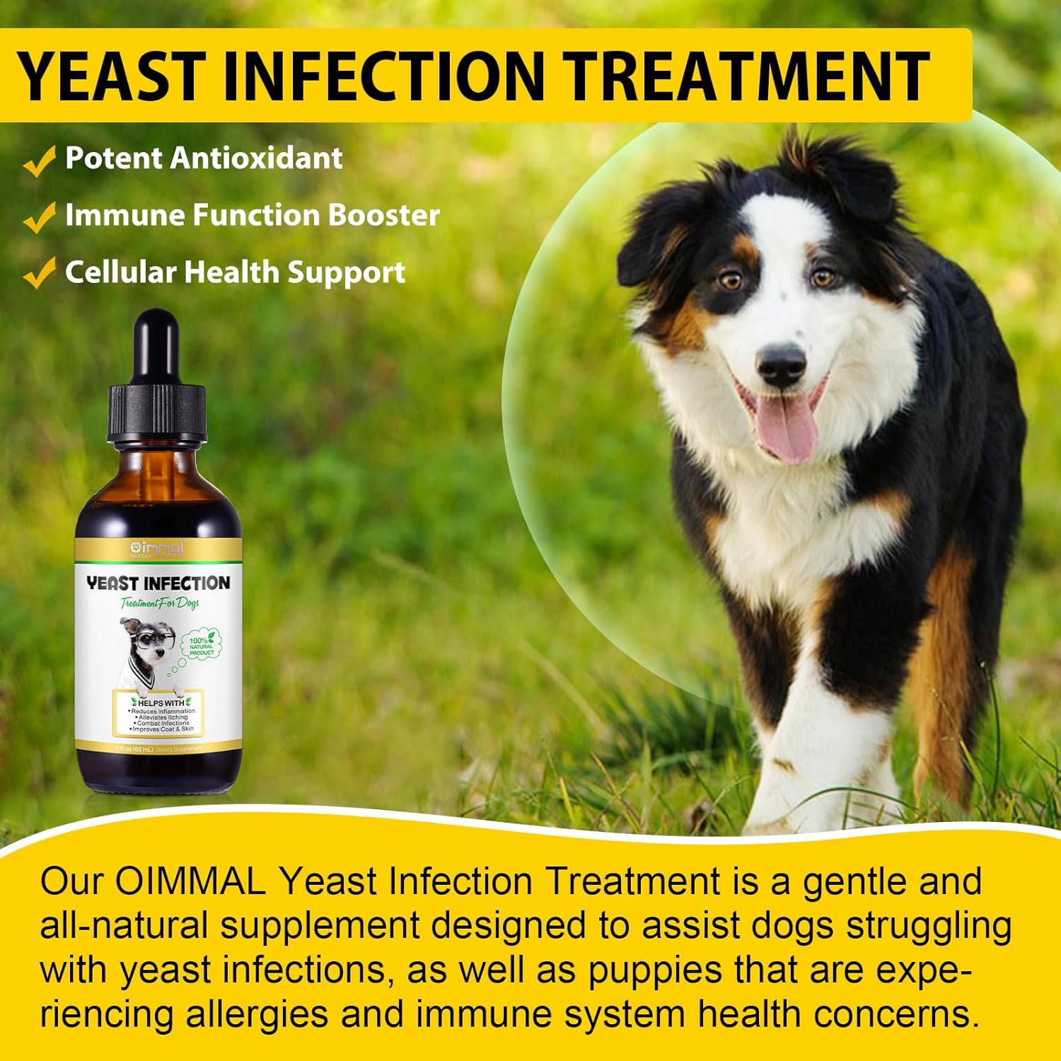 Natural Dog Yeast Infection Treatment with Bacon Flavor - 2 Fl Oz, Supports Ear Infection & Allergy Itch Relief, Reduces Inflammation, Improves Coat & Skin - akareni