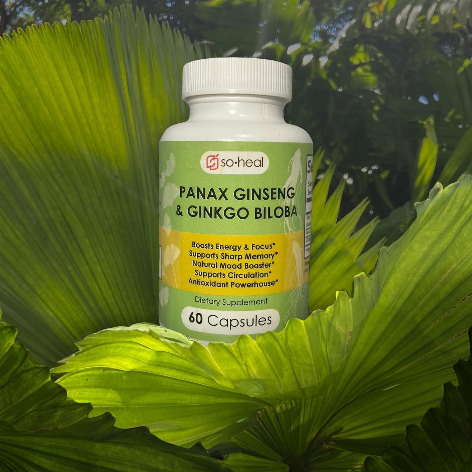 Natural Energy and Focus Supplement with Ginseng and Ginkgo Biloba - 30 Servings