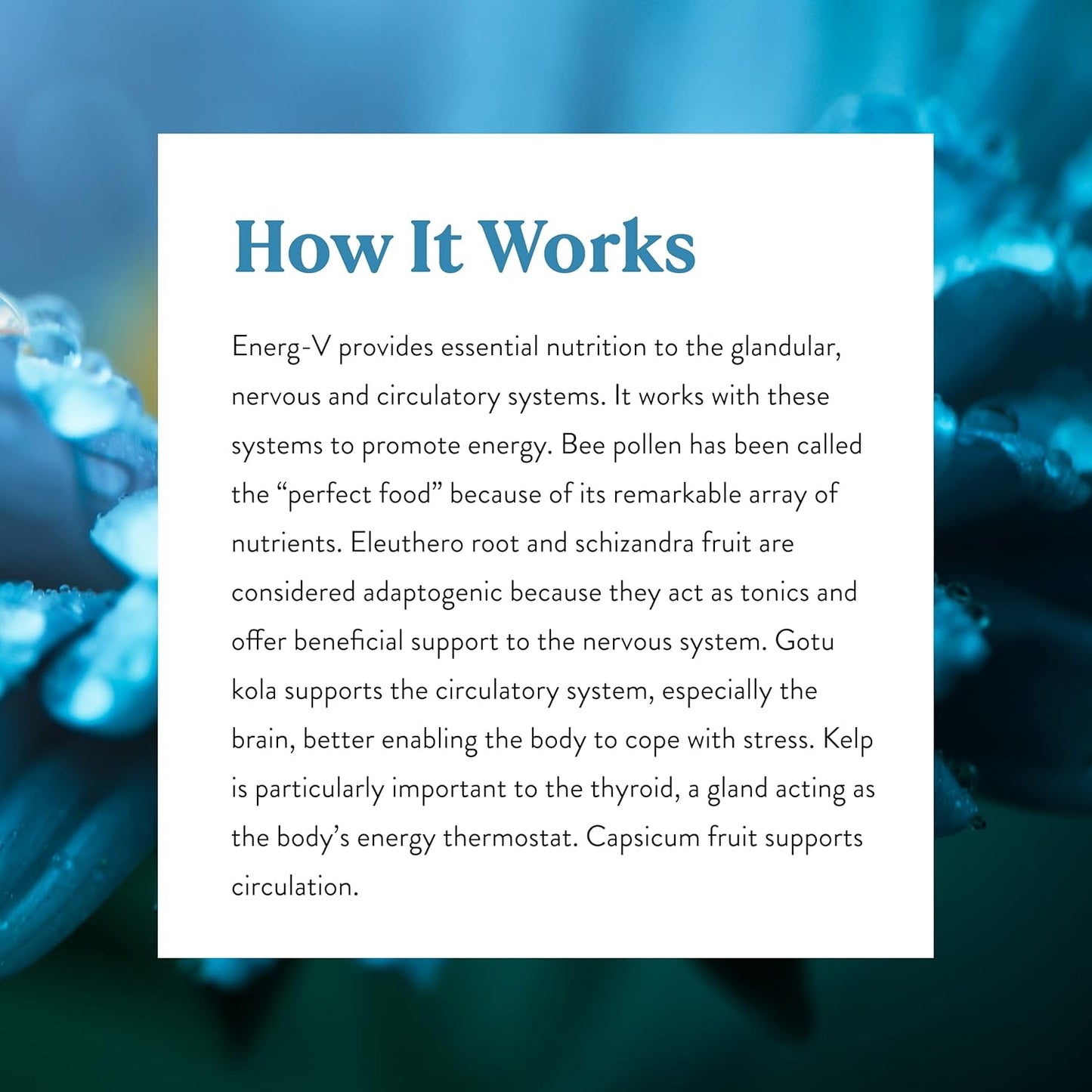 Natural Energy Boost Supplement - Nature's Sunshine Energ-V Capsules - 100 Count