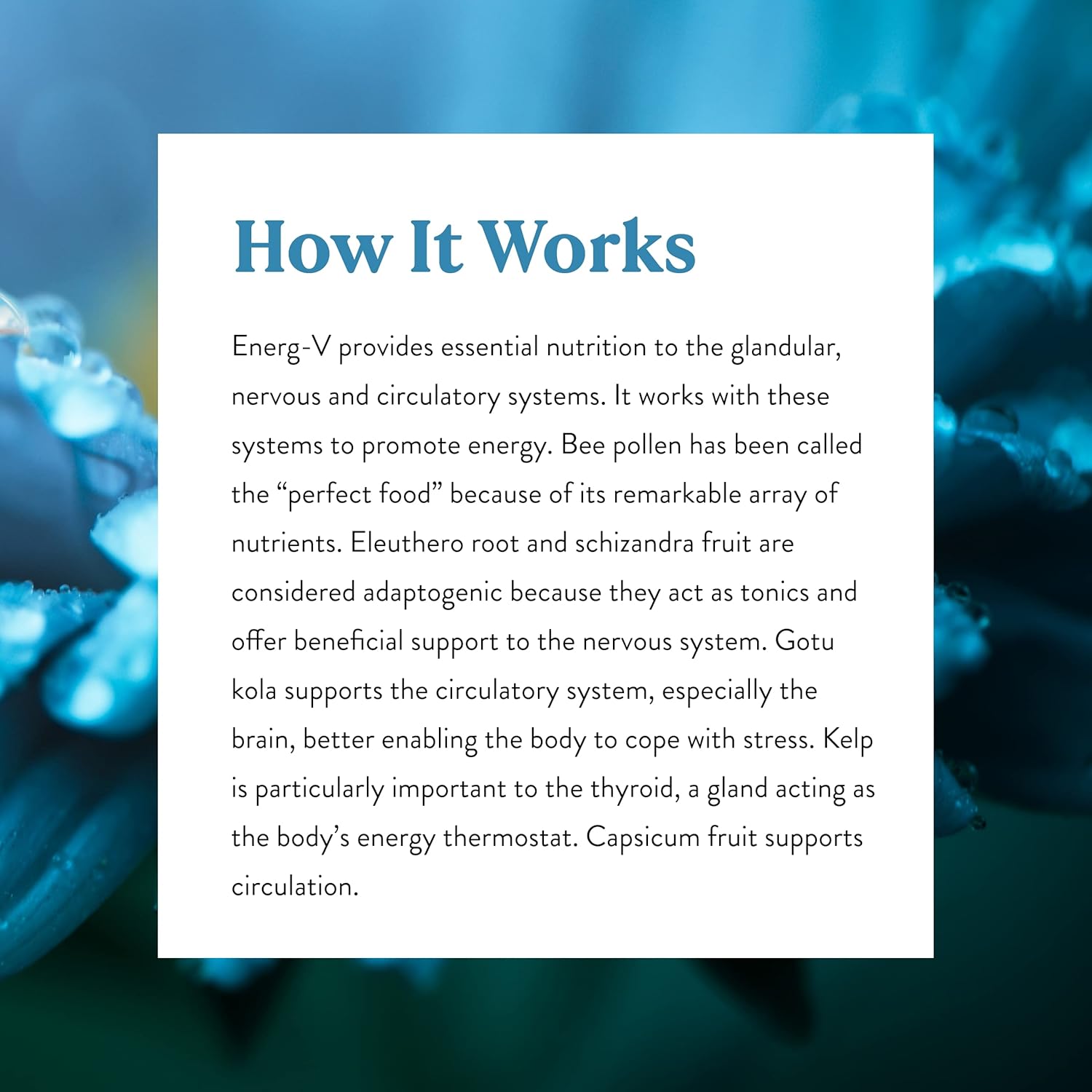 Natural Energy Boost Supplement - Nature's Sunshine Energ-V Capsules - 100 Count