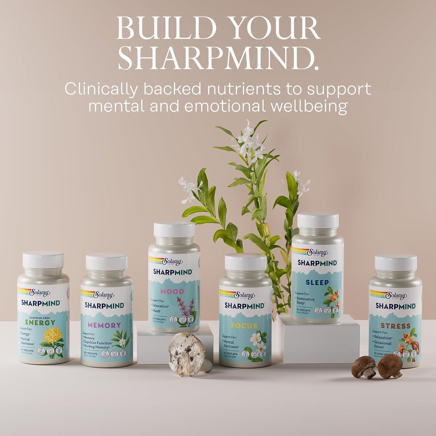 Natural Energy Boosting Nootropic Supplement for Women and Men - Caffeine Free with Rhodiola Rosea and Cordyceps - 30 VegCap Pills with 60 Day Guarantee