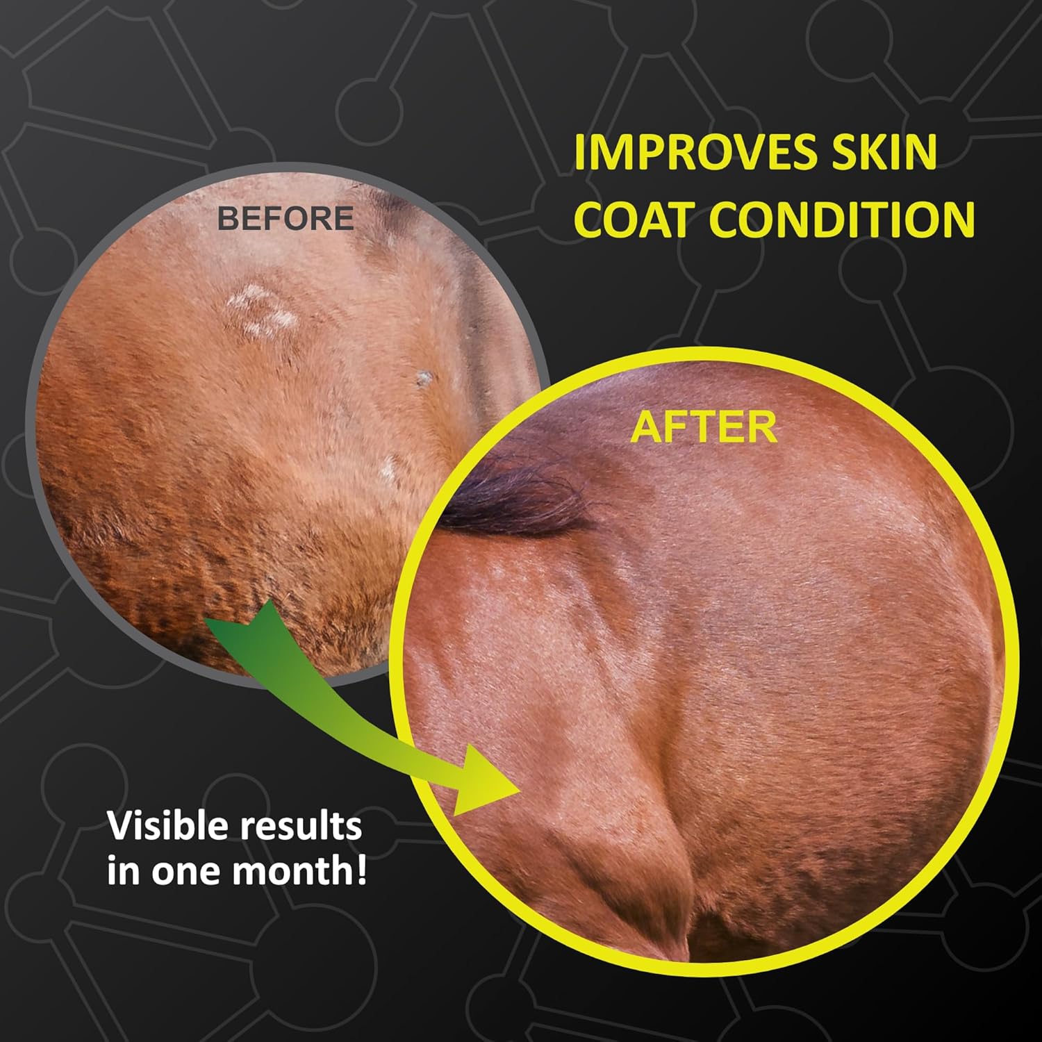 Natural Equine Stomach Health Supplement for Horses, Prevents and Heals Gastric Ulcers, Supports Gut Health, 30 Servings