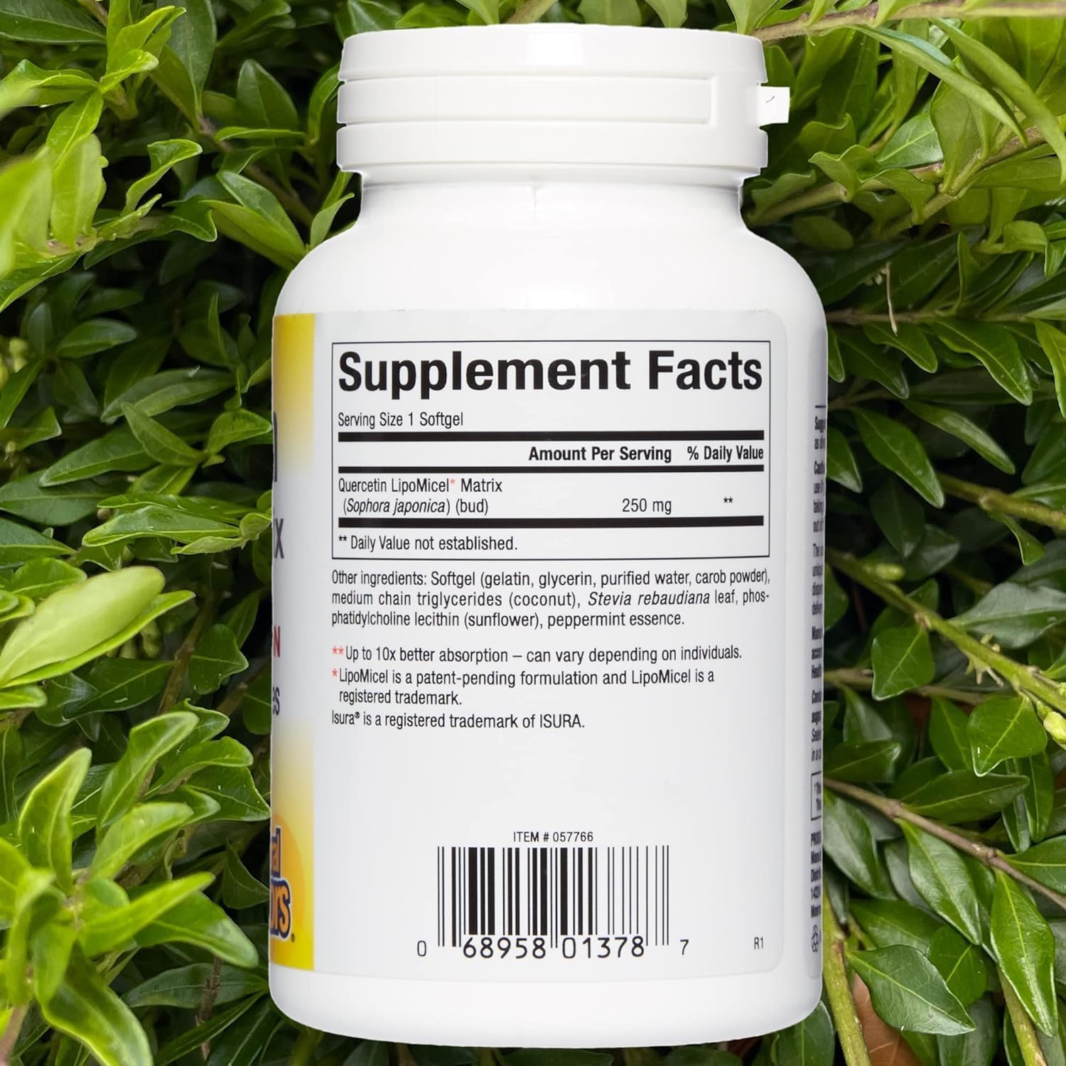 Natural Factors Quercetin LipoMicel Matrix Gel Capsules for Enhanced Absorption - 60 Count