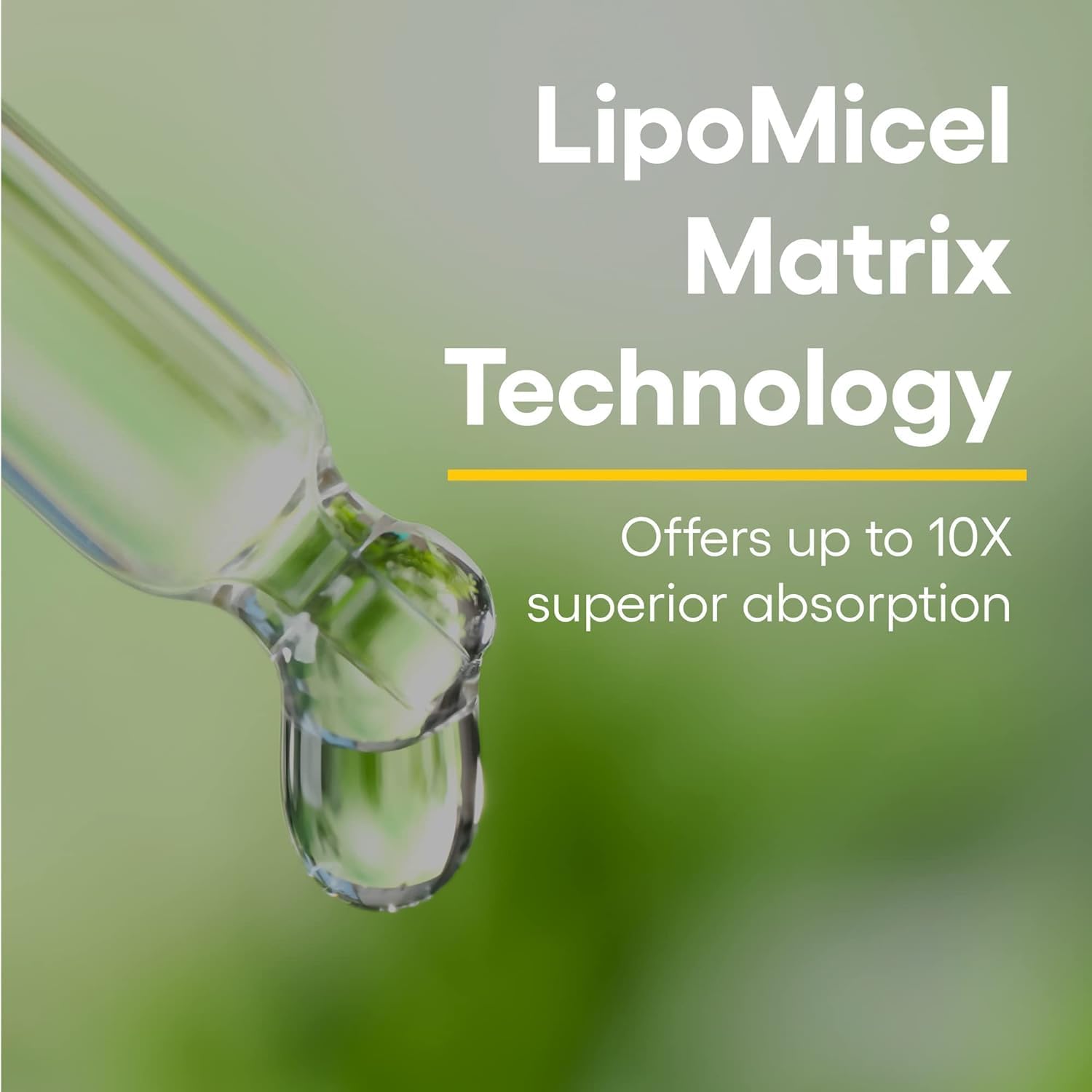 Natural Factors Quercetin LipoMicel Matrix Gel Capsules for Enhanced Absorption - 60 Count