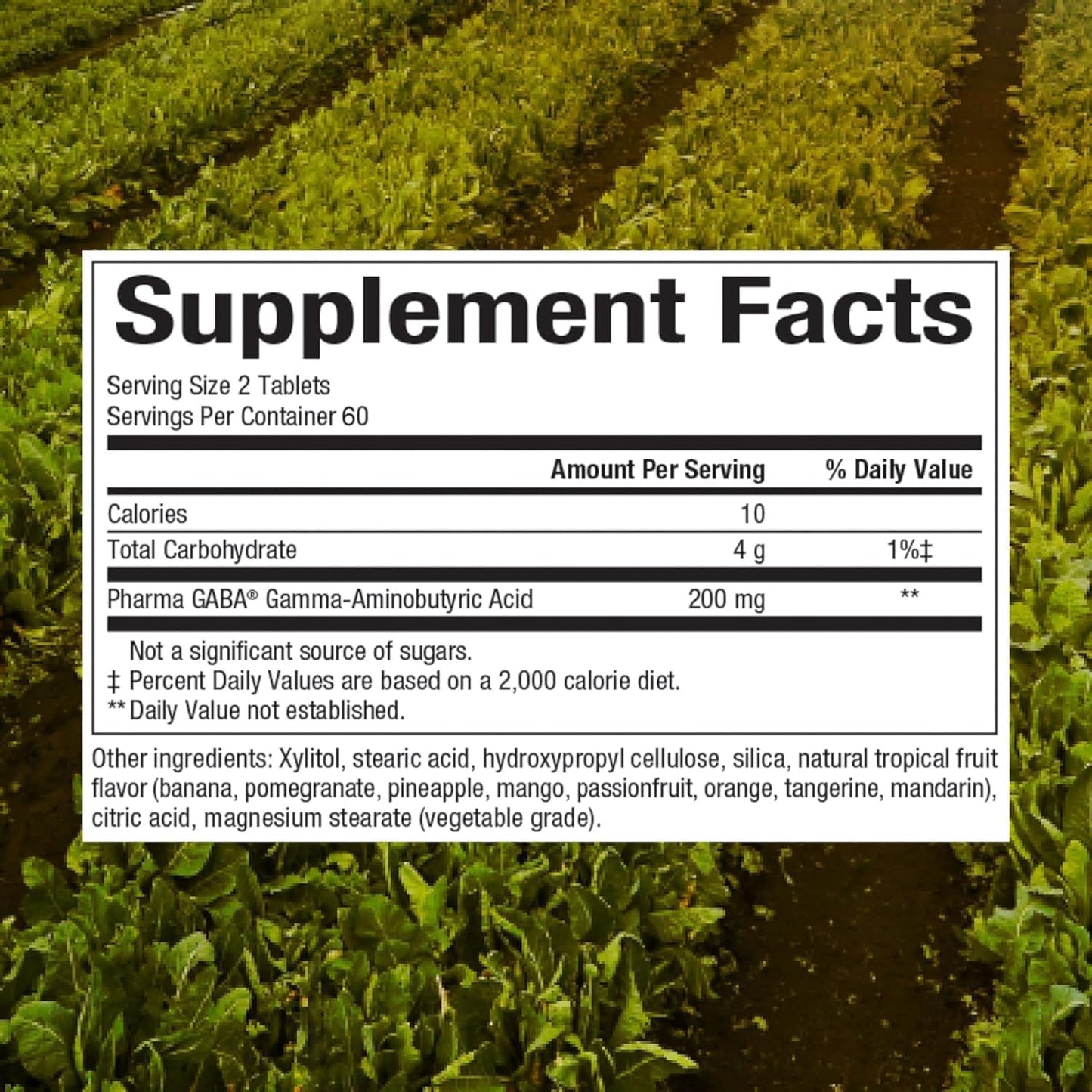 Natural Factors Stress-Relax Chewable Pharma GABA 100 mg Tablets - Tropical Fruit Flavor, Non-Drowsy Stress Support with Relaxation and Mental Focus - 120 Count