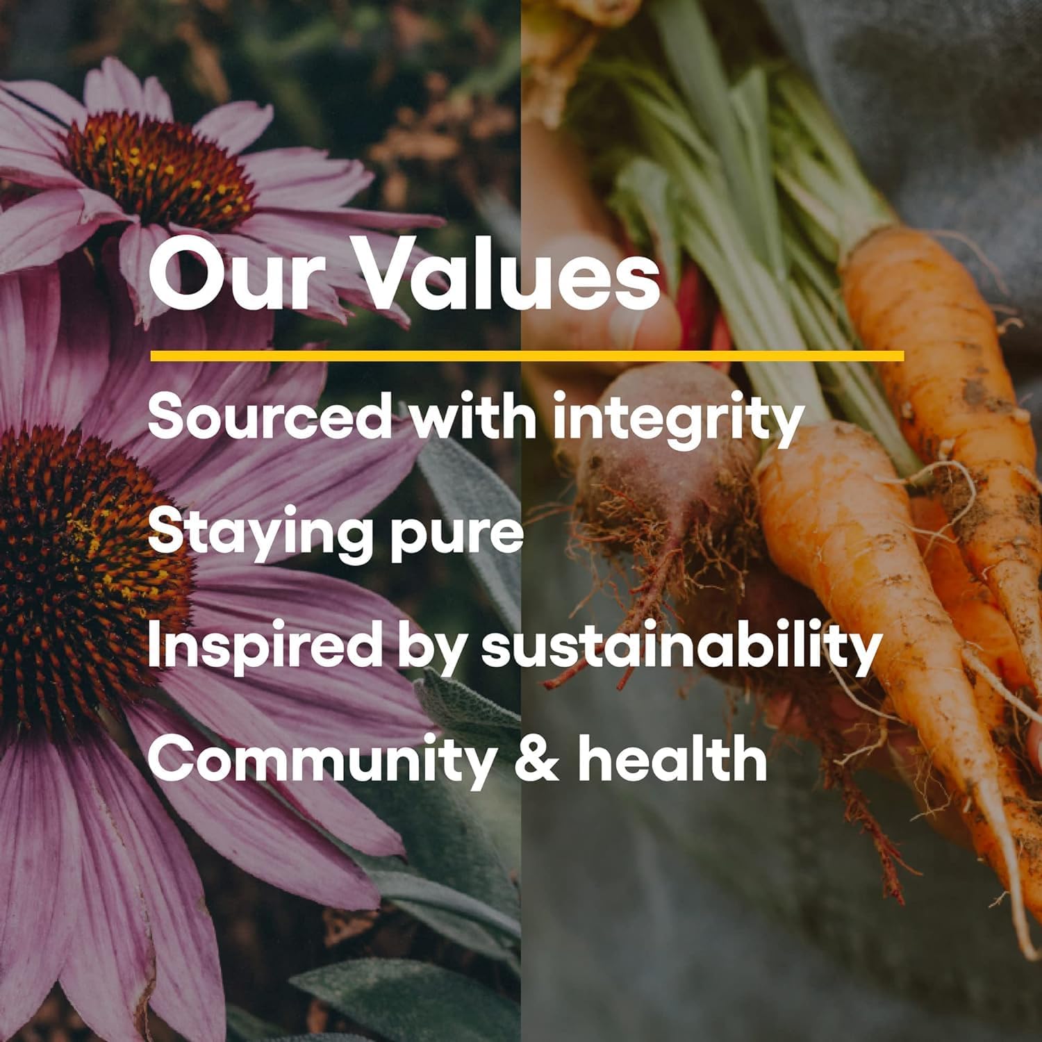 Natural Factors Stress-Relax Chewable Pharma GABA 100 mg Tablets - Tropical Fruit Flavor, Non-Drowsy Stress Support with Relaxation and Mental Focus - 120 Count