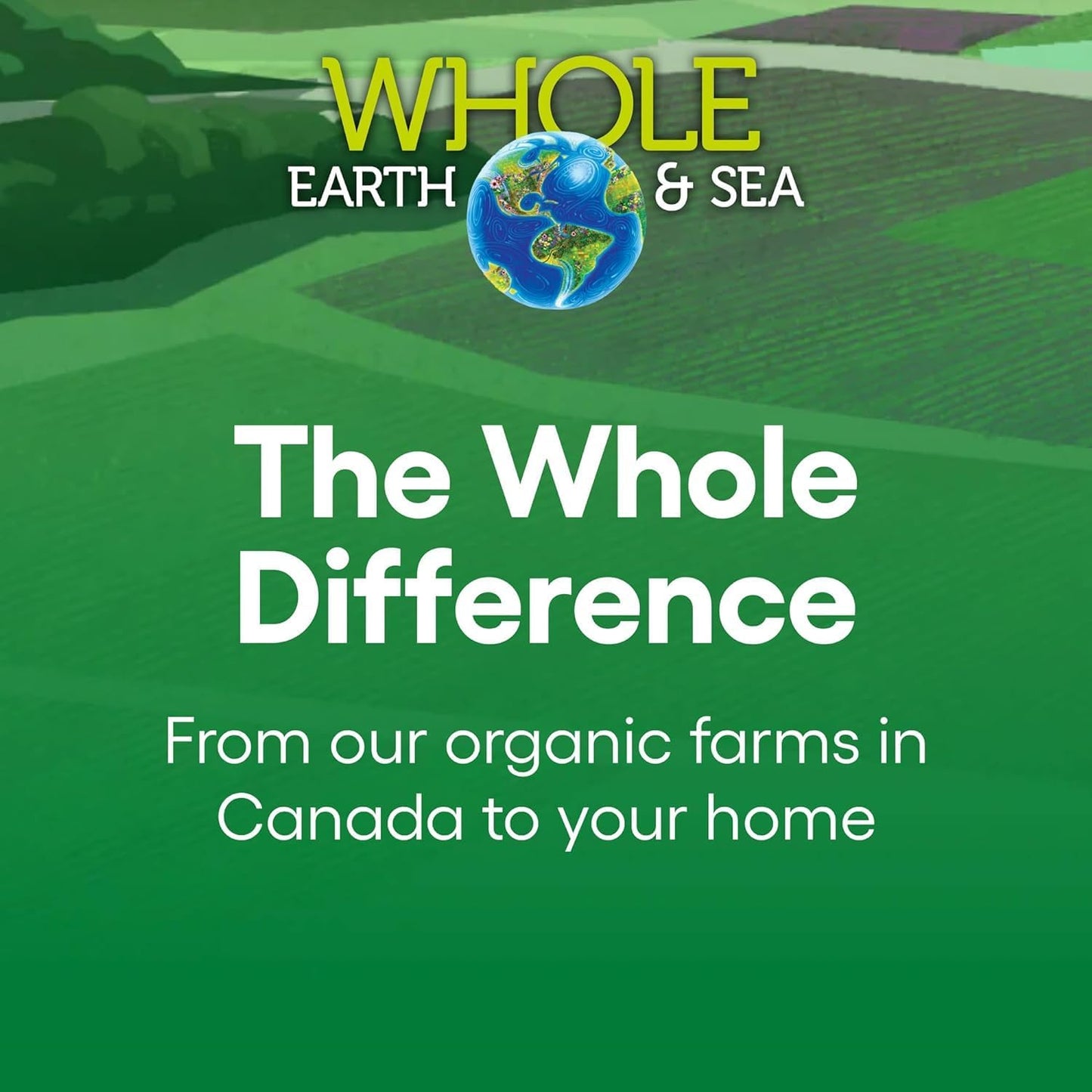 Natural Factors Whole Earth & Sea Men's 50+ Multivitamin - 120 Tablets, 1 Serving Equals ½ lb of Veggies