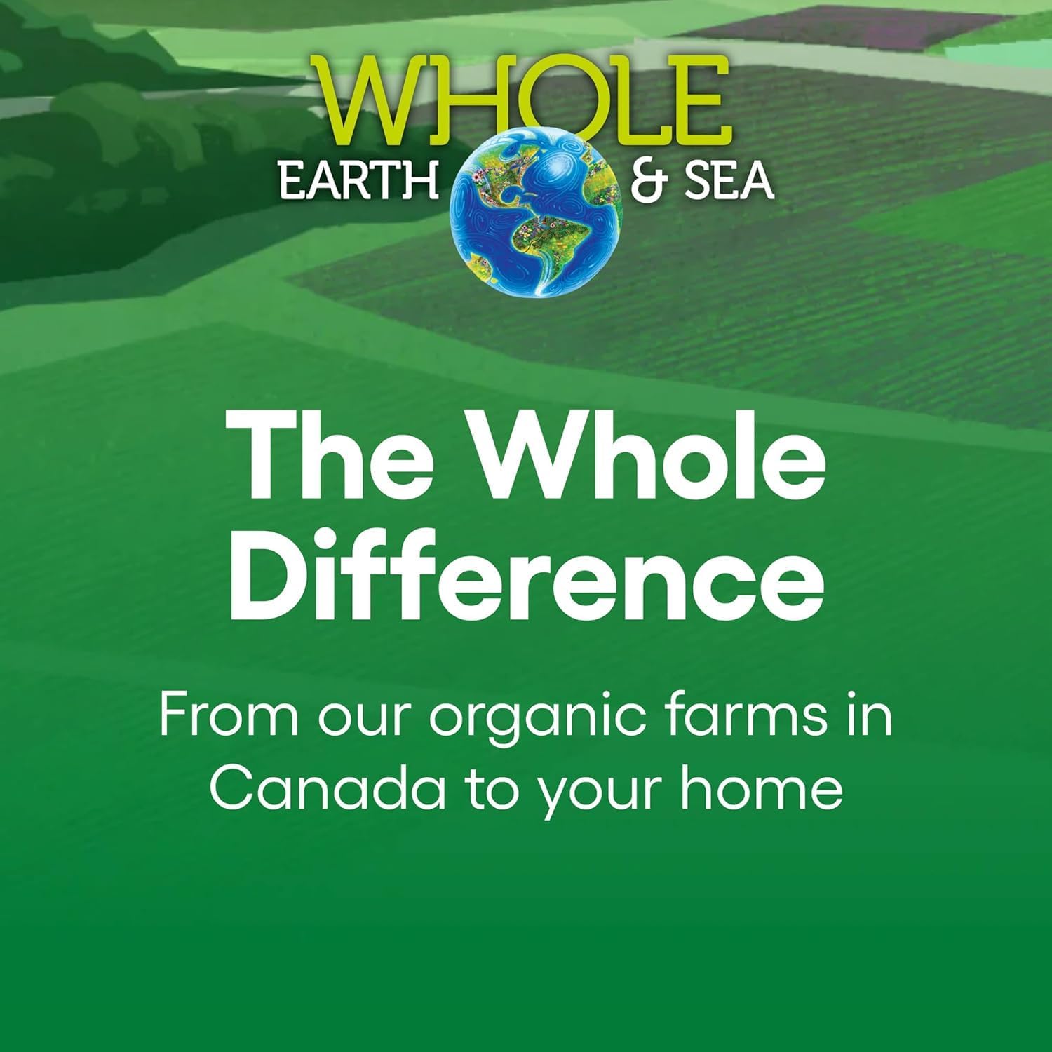 Natural Factors Whole Earth & Sea Men's 50+ Multivitamin - 120 Tablets, 1 Serving Equals ½ lb of Veggies