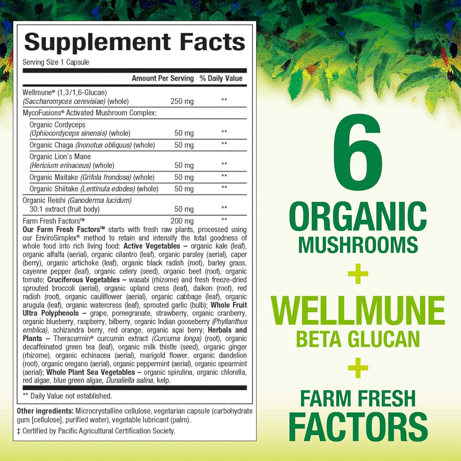 Natural Factors Whole Earth & Sea Super Mushroom Whole Food Supplement - Vegan - 60 Vegetarian Capsules - 60 Servings