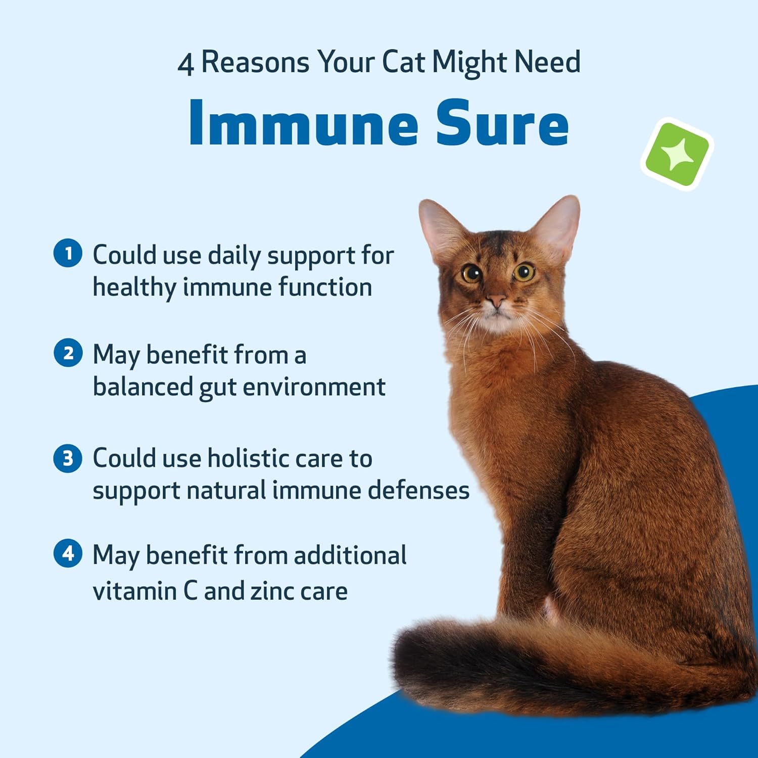Natural Feline Immune Support Supplement - Promotes Healthy Immune System, Digestive Health, Andrographis, Echinacea, Vitamin C, Zinc - Veterinarian-Designed Formula 4 oz