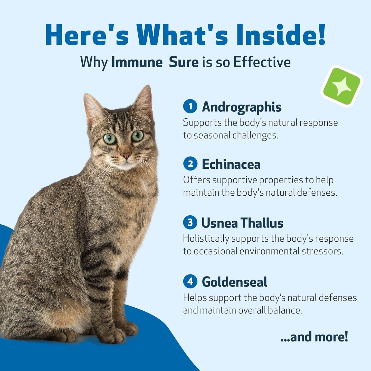Natural Feline Immune Support Supplement - Promotes Healthy Immune System, Digestive Health, Andrographis, Echinacea, Vitamin C, Zinc - Veterinarian-Designed Formula 4 oz