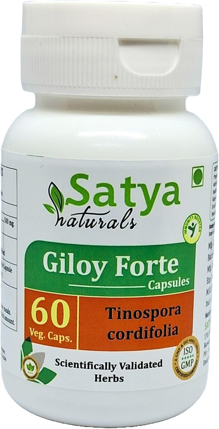Natural Giloy Forte Capsules 500mg - Guduchi Extract for Men and Women - Ayurvedic Herbal Supplement - 60 Veg Capsules