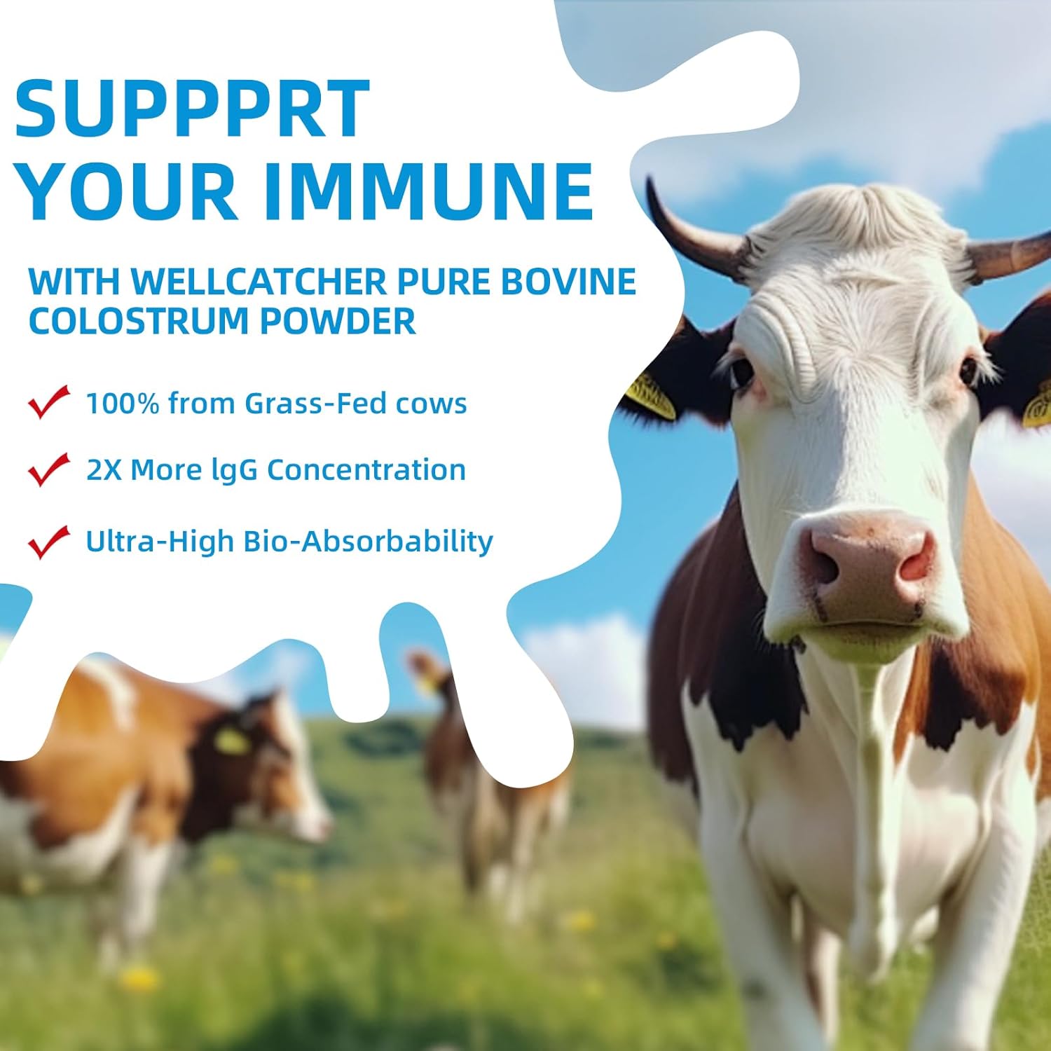 Natural Grass Fed Bovine Colostrum Powder - High IgG Supplement for Immune Support - Easy to Mix - 60 Servings for Kids & Adults