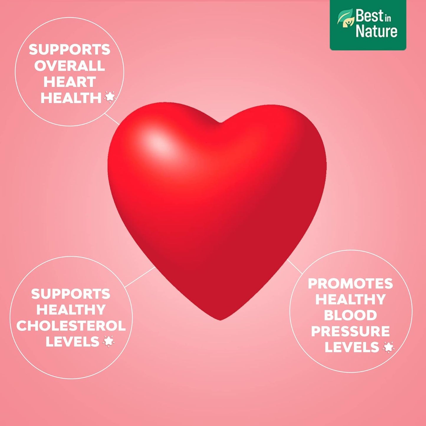 Natural Heart Health Supplement with Coq 10, Salvia Miltiorrhiza, and Panax Pseudoginseng - 30 Capsules