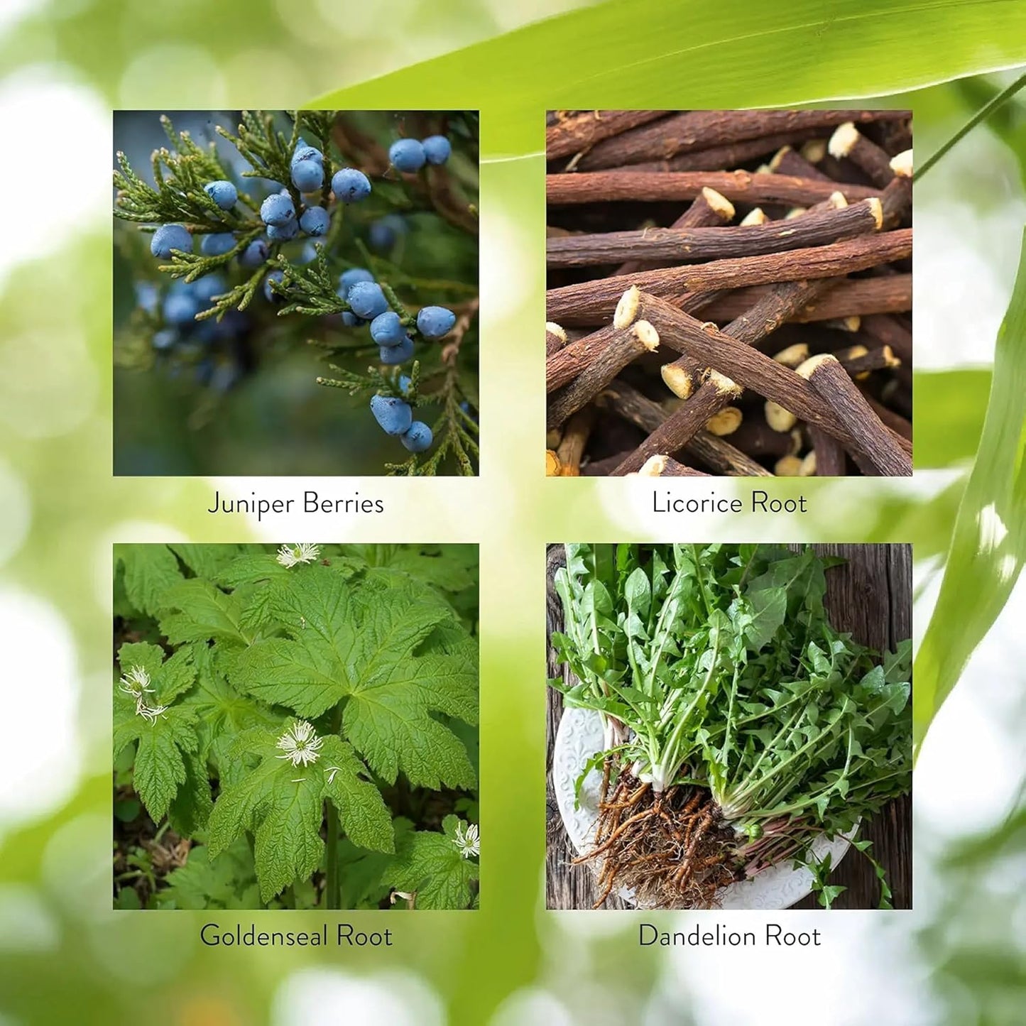 Natural Herbal Formula Boosts Digestion, Immunity, Liver & Pancreas Support - 100 Capsules, Kosher Compliant