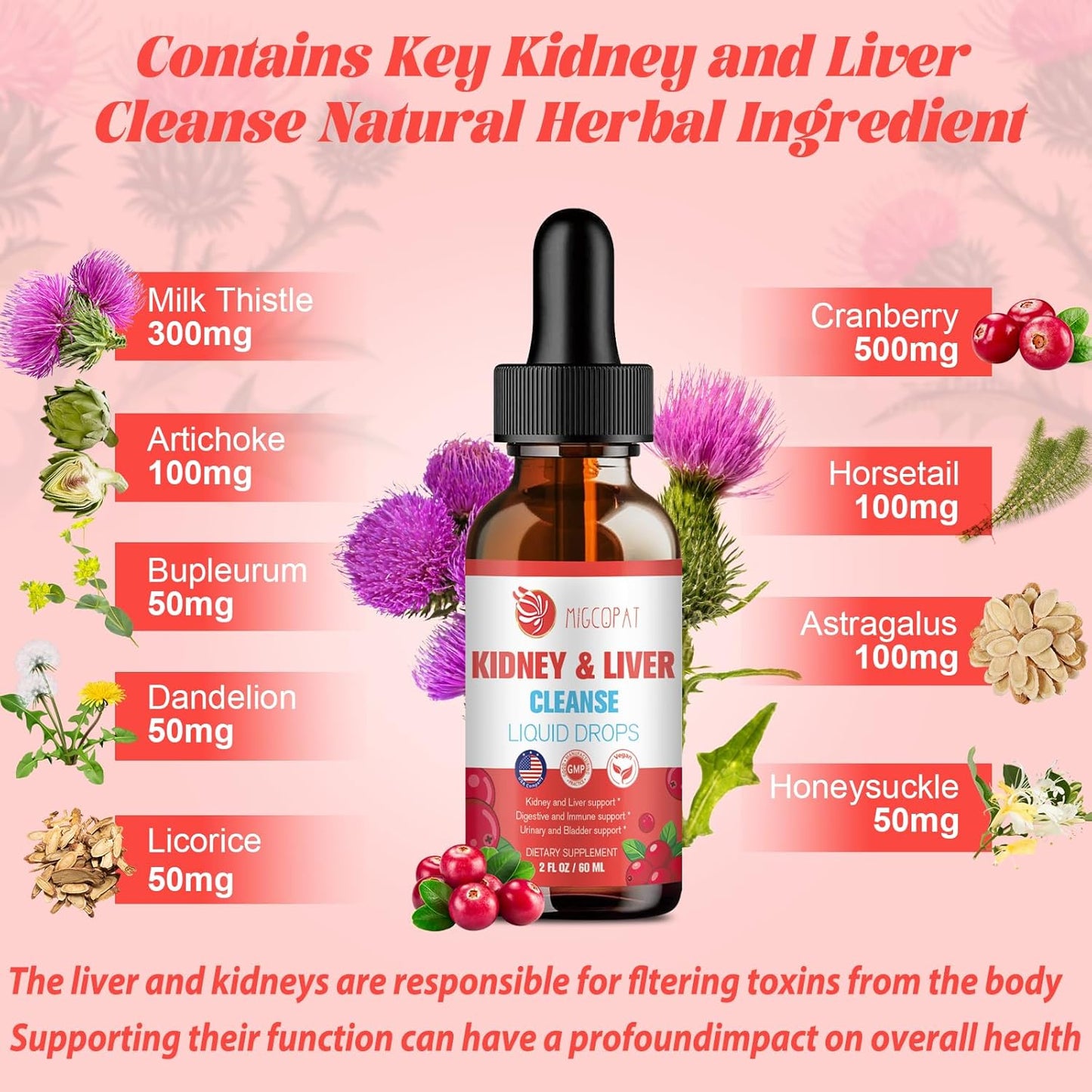 Natural Herbal Kidney and Liver Cleanse Drops with Milk Thistle, Cranberry, Artichoke - 60ml