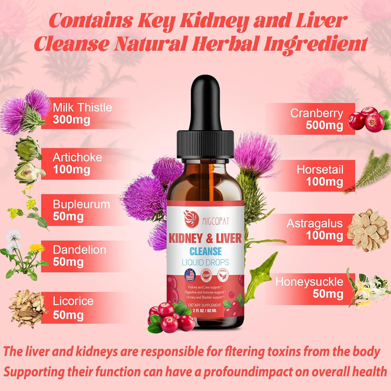 Natural Herbal Kidney and Liver Cleanse Drops with Milk Thistle, Cranberry, Artichoke - 60ml