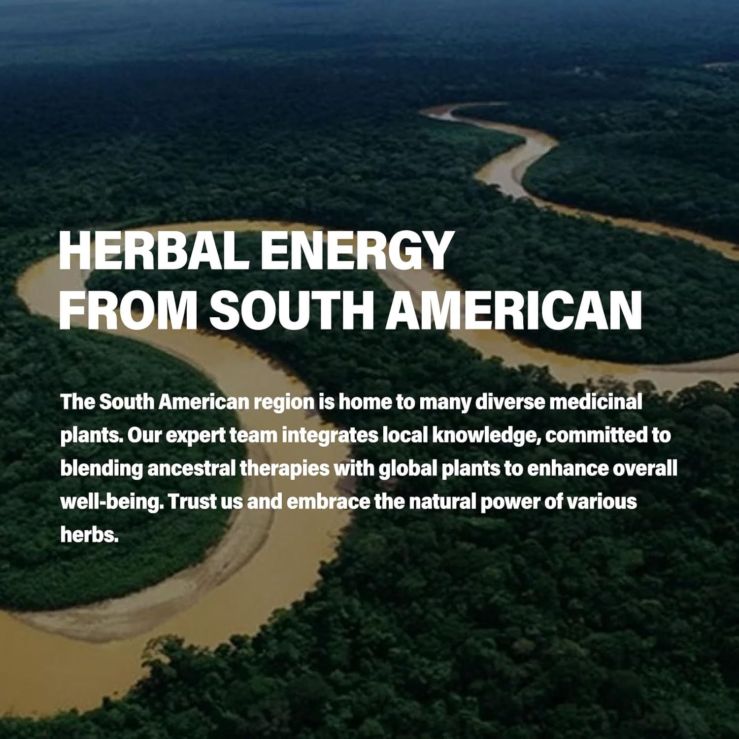 Natural Herbal Menopause Relief Drops with Motherwort & Dong Quai - Hormonal Balance Supplement for Women - Alcohol-Free Tincture - 2oz