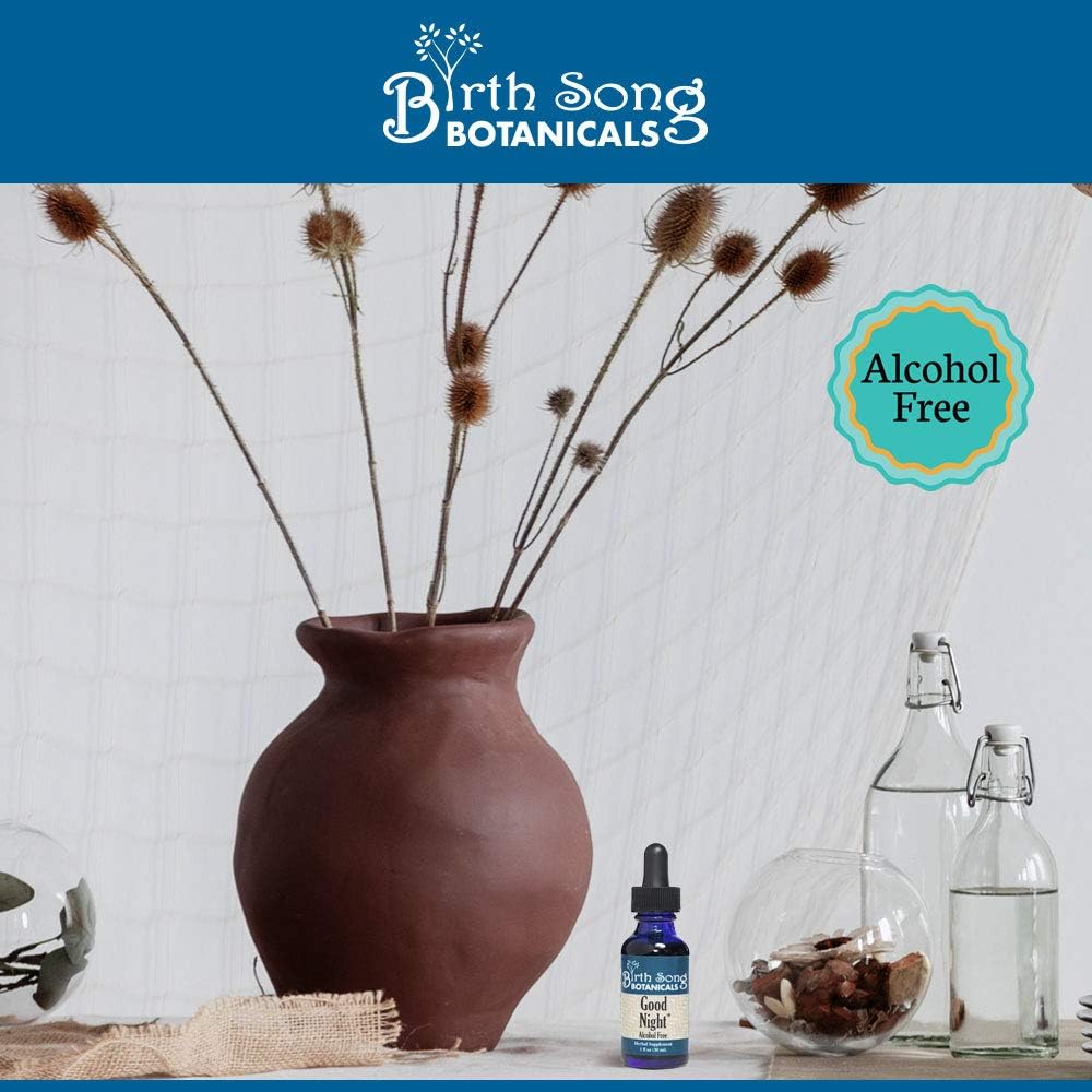 Natural Herbal Sleep Aid Tincture with Valerian Root and Chamomile - 1oz Bottle by Birth Song Botanicals