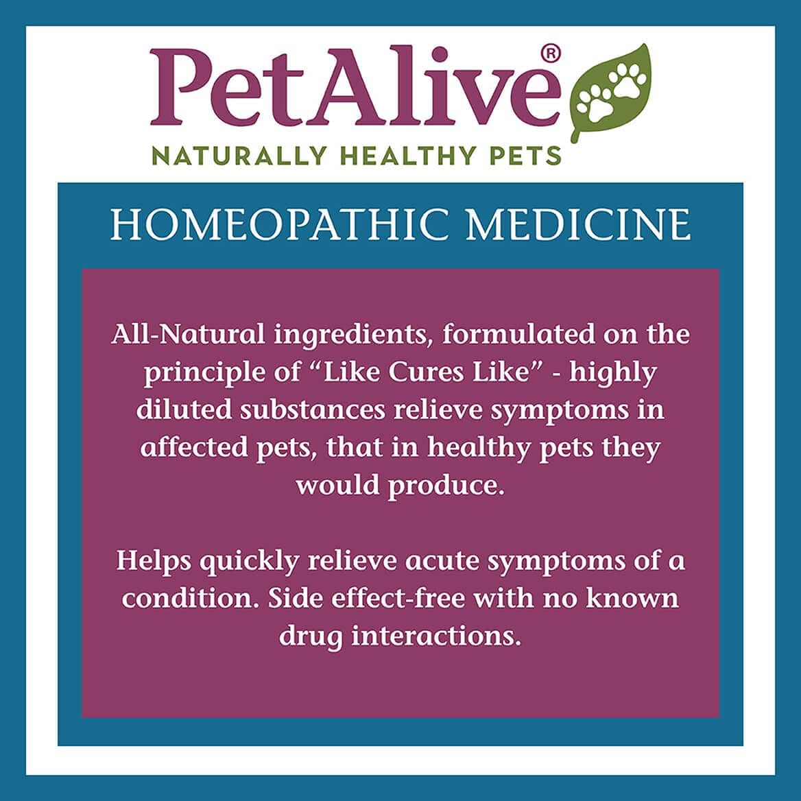 Natural Homeopathic Relief for Allergy-Related Congestion and Sinusitis in Pets - 180 Tablets