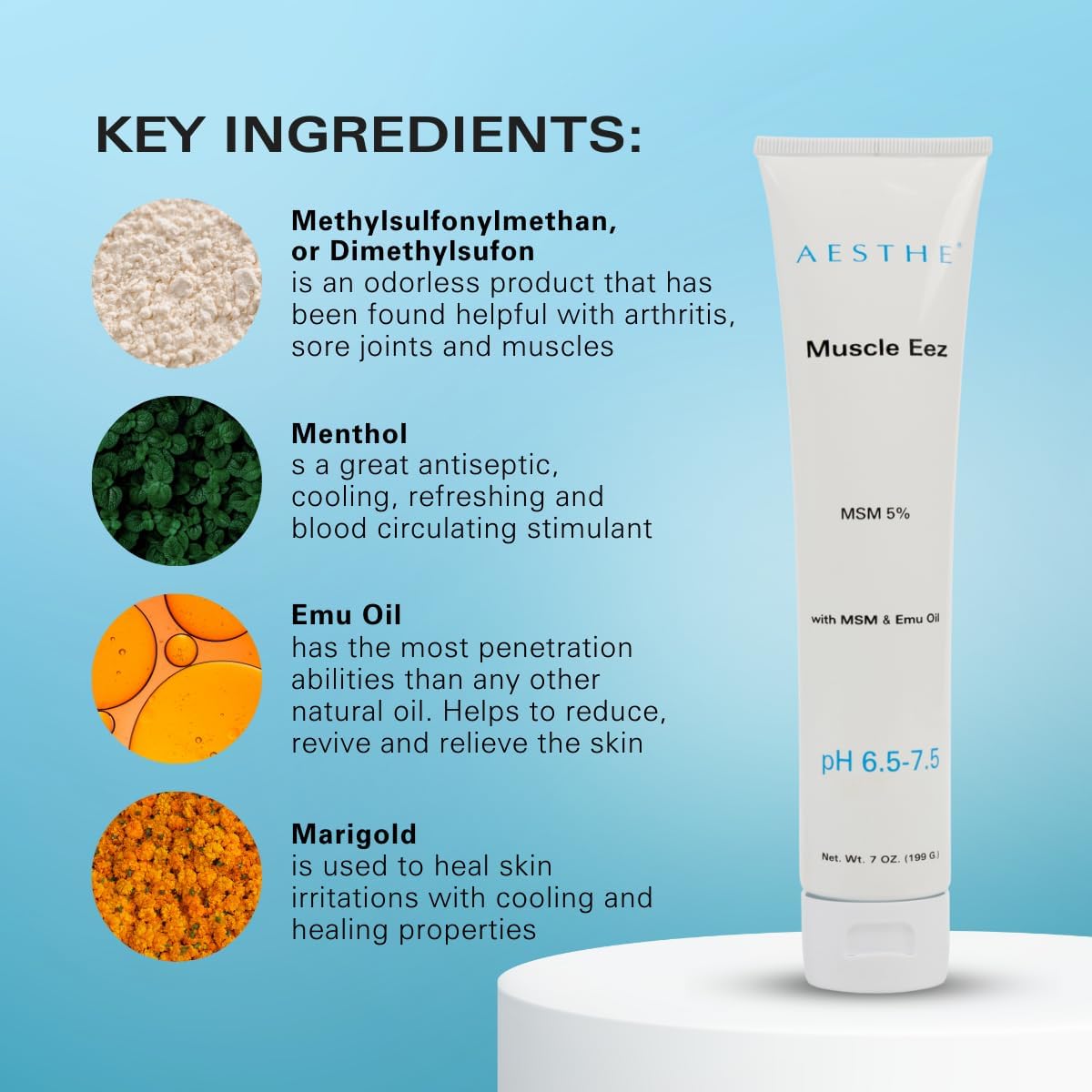 Natural Joint and Muscle Recovery Gel with MSM and Emu Oil - Aloe Vera Formula for Soothing Relief - Therapeutic 7 oz Gel for Strains and Wellness