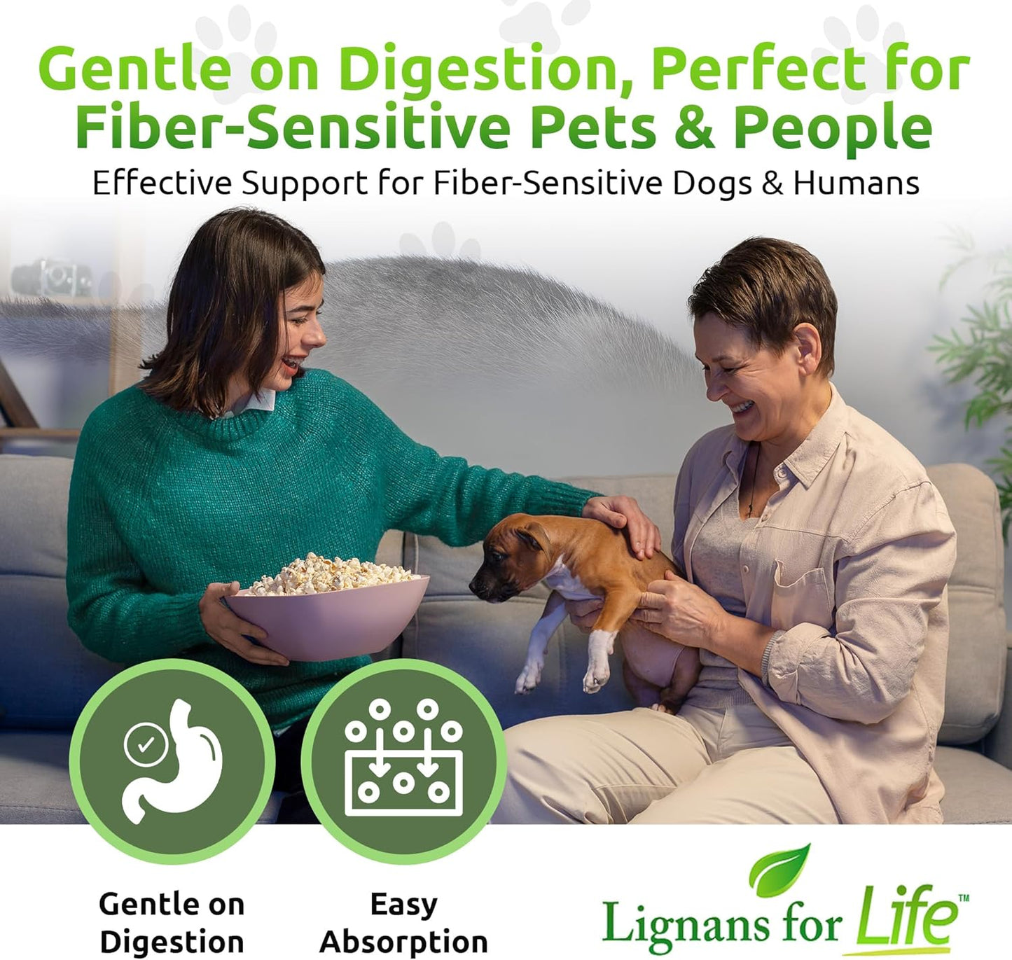 Natural Lignans Supplement for Dogs - Promotes Pet Wellness with 40mg Vitamin Capsules - 90 Count Bottle