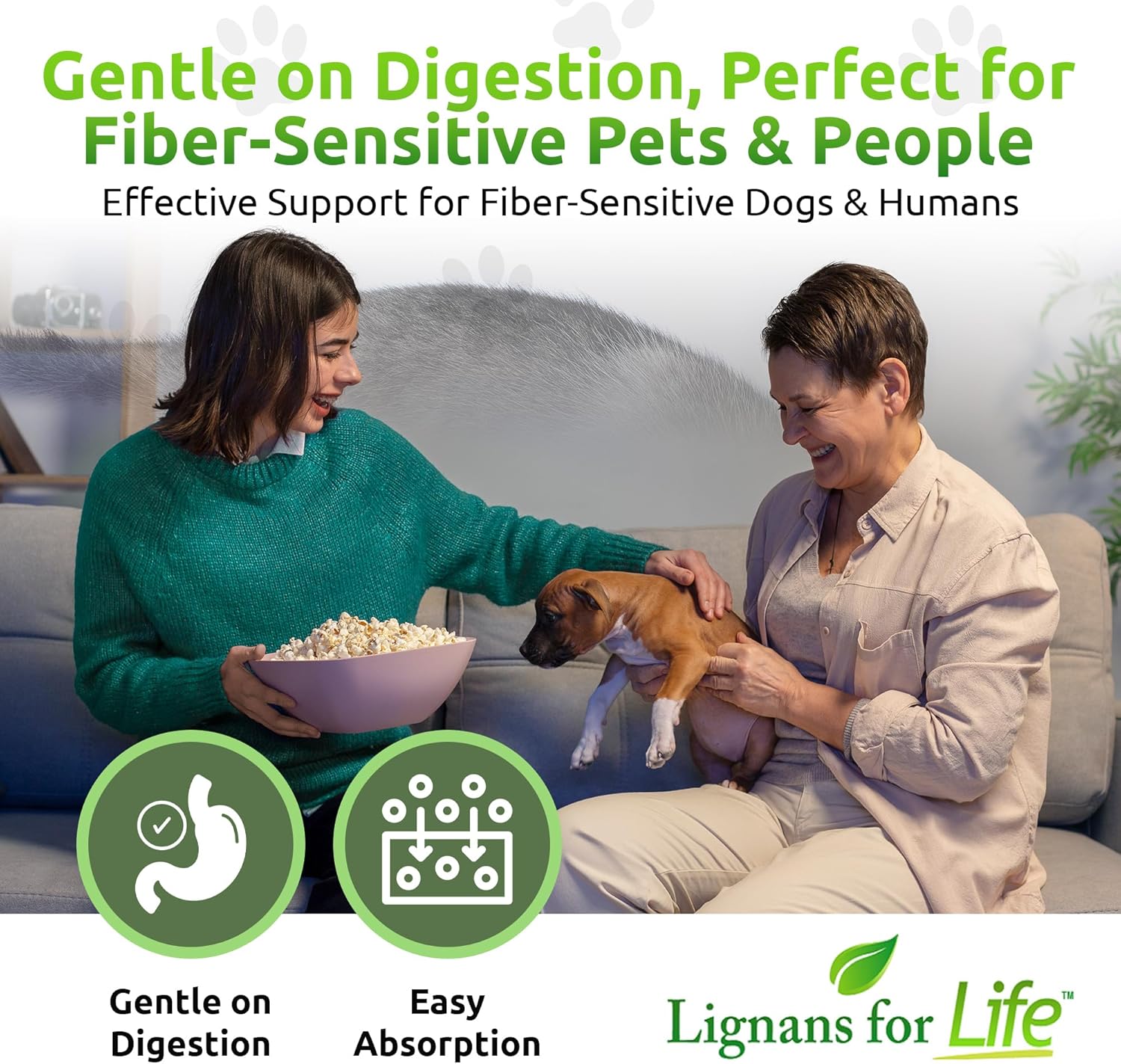 Natural Lignans Supplement for Dogs - Promotes Pet Wellness with 40mg Vitamin Capsules - 90 Count Bottle