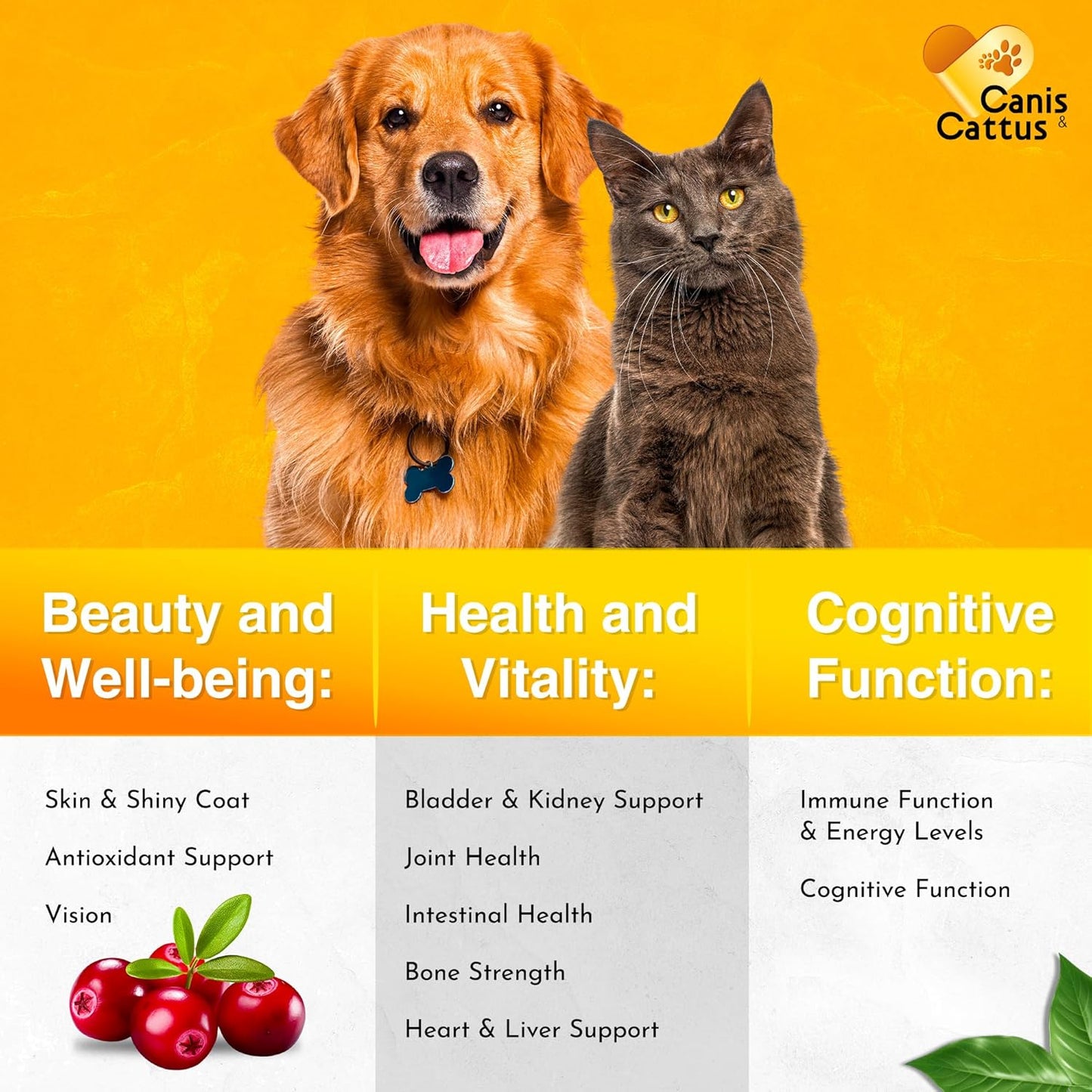 Natural Liquid Multivitamin for Dogs and Cats | Canis&Cattus Pet Vitamins | Pure Ingredients | 1 oz Bottle