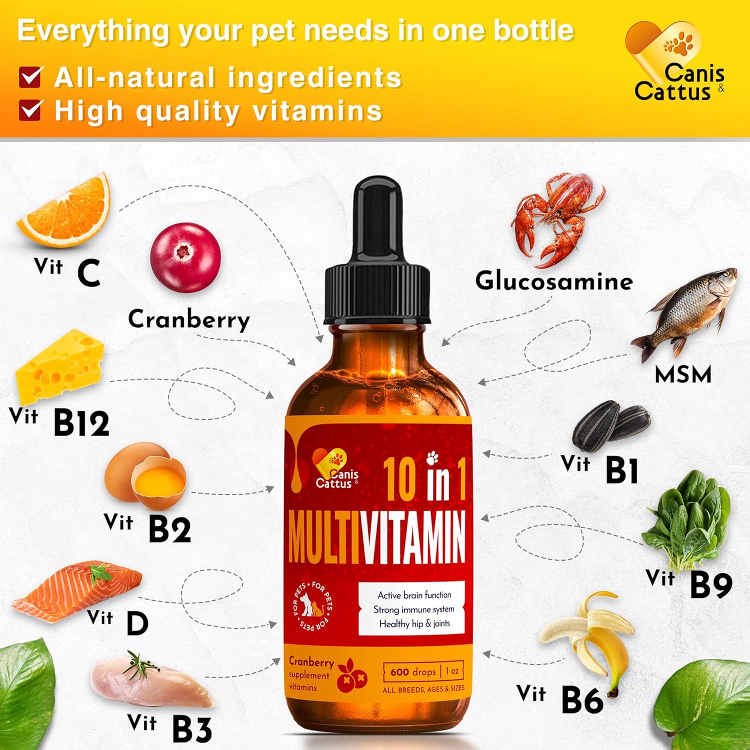 Natural Liquid Multivitamin for Dogs and Cats | Canis&Cattus Pet Vitamins | Pure Ingredients | 1 oz Bottle