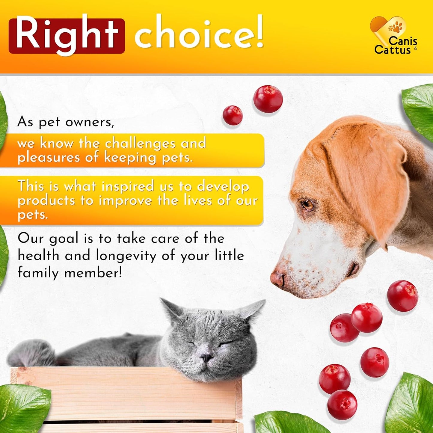 Natural Liquid Multivitamin for Dogs and Cats | Canis&Cattus Pet Vitamins | Pure Ingredients | 1 oz Bottle