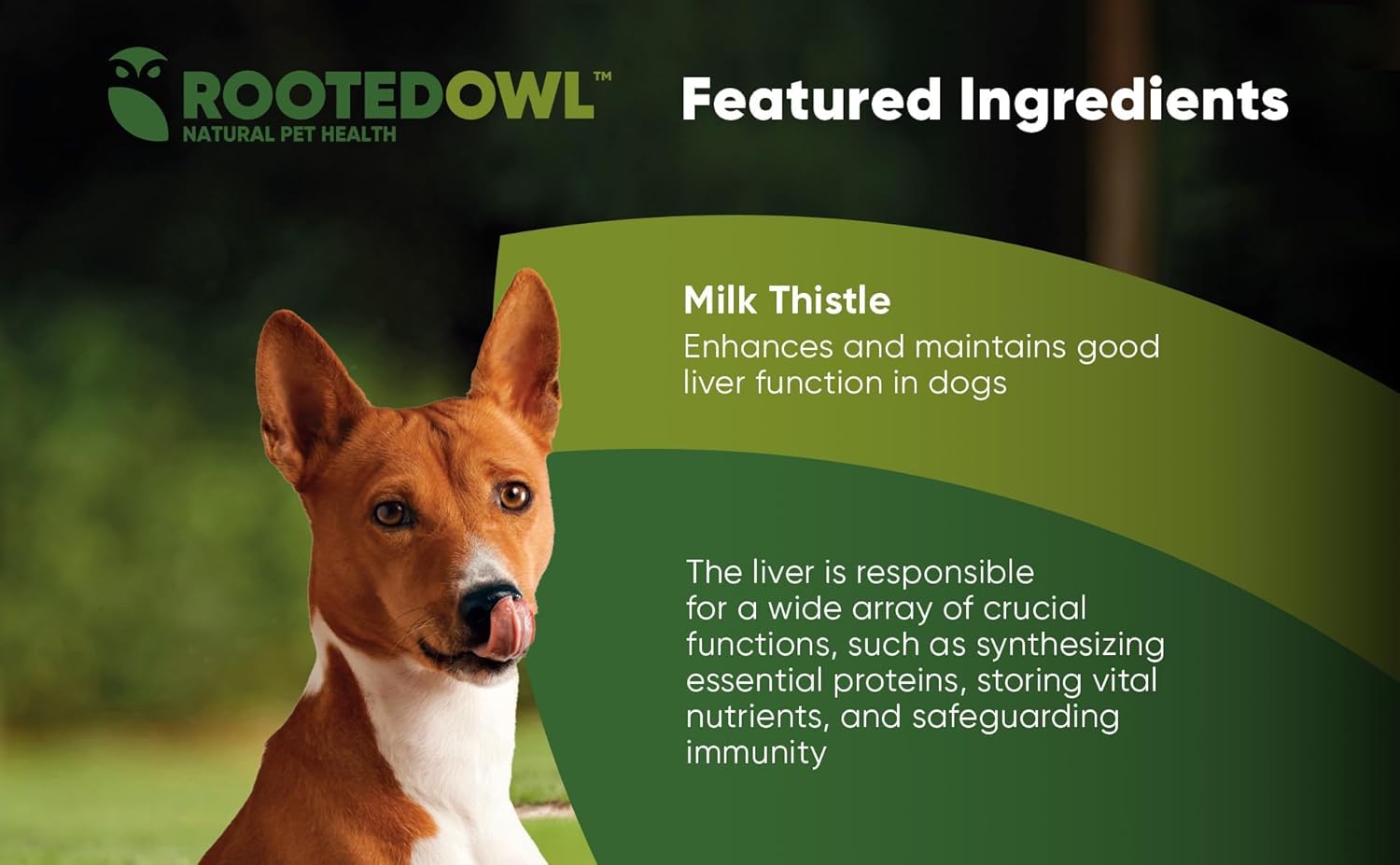 Natural Liver Health Supplement for Dogs - Rooted Owl Liver Support with Milk Thistle - 60 Vegetarian Capsules