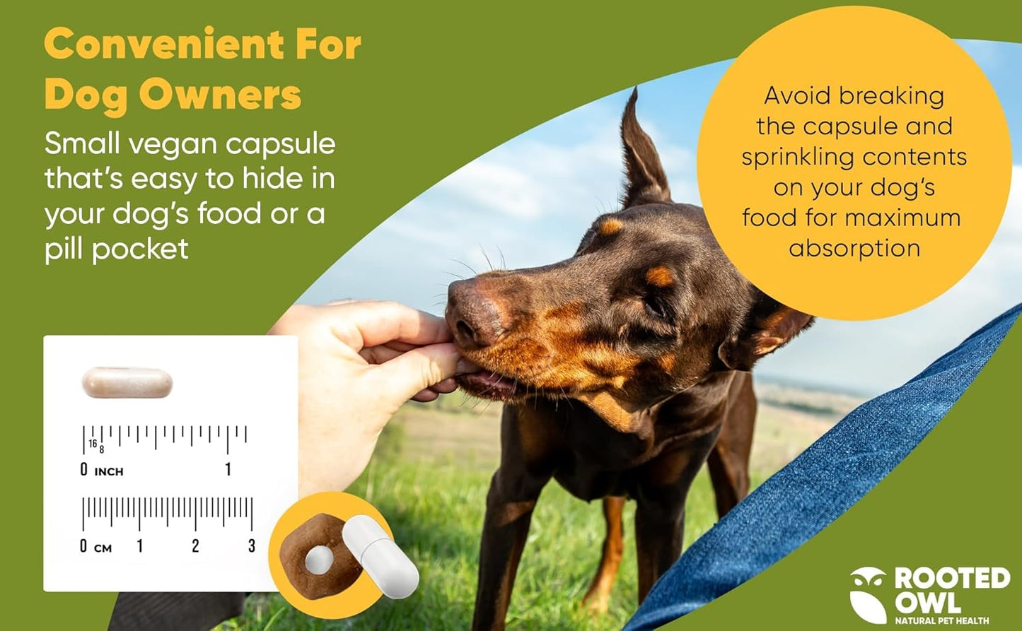 Natural Liver Health Supplement for Dogs - Rooted Owl Liver Support with Milk Thistle - 60 Vegetarian Capsules