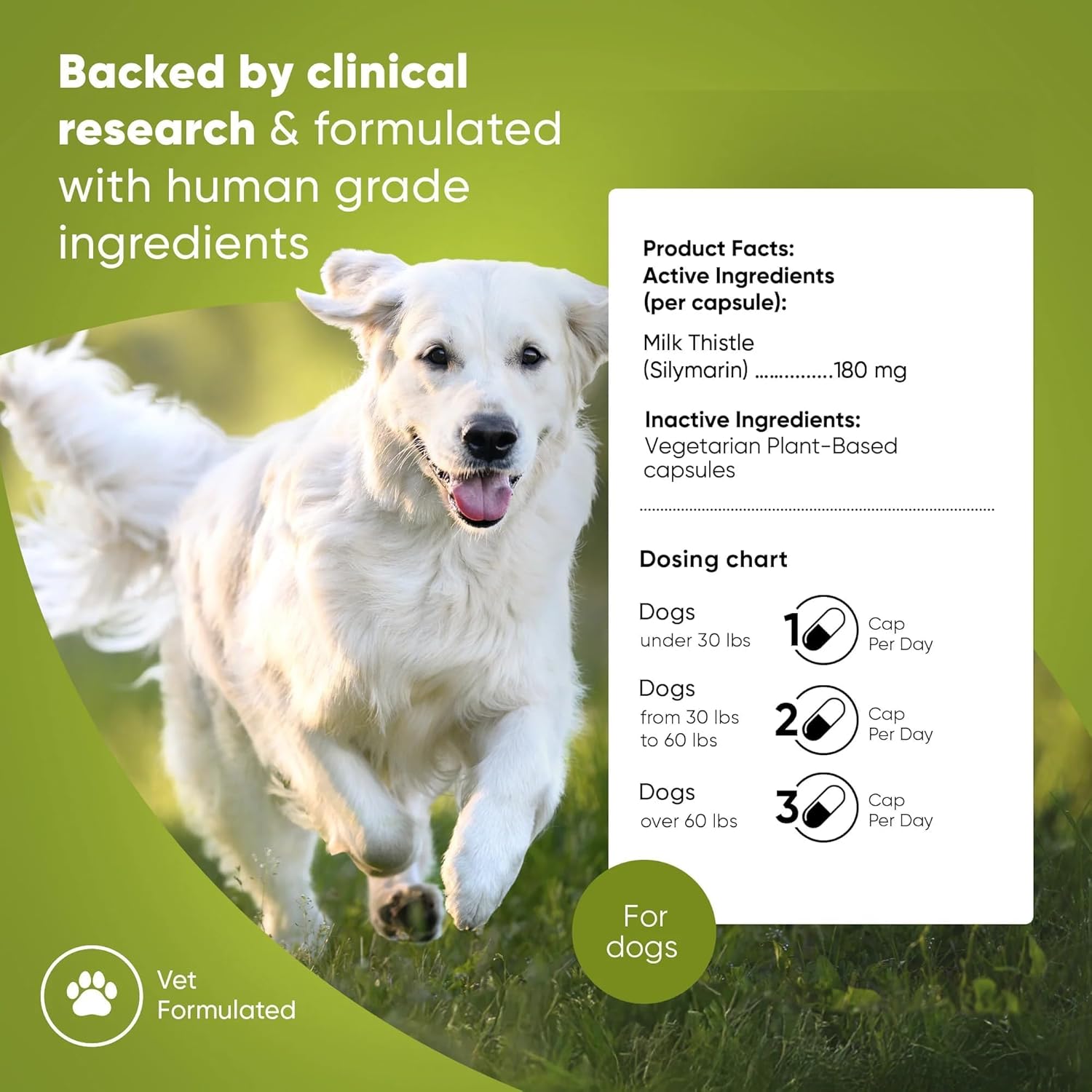 Natural Liver Health Supplement for Dogs - Rooted Owl Liver Support with Milk Thistle - 60 Vegetarian Capsules