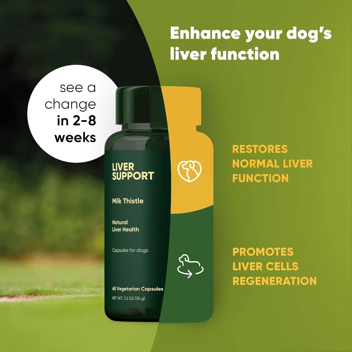 Natural Liver Health Supplement for Dogs - Rooted Owl Liver Support with Milk Thistle - 60 Vegetarian Capsules