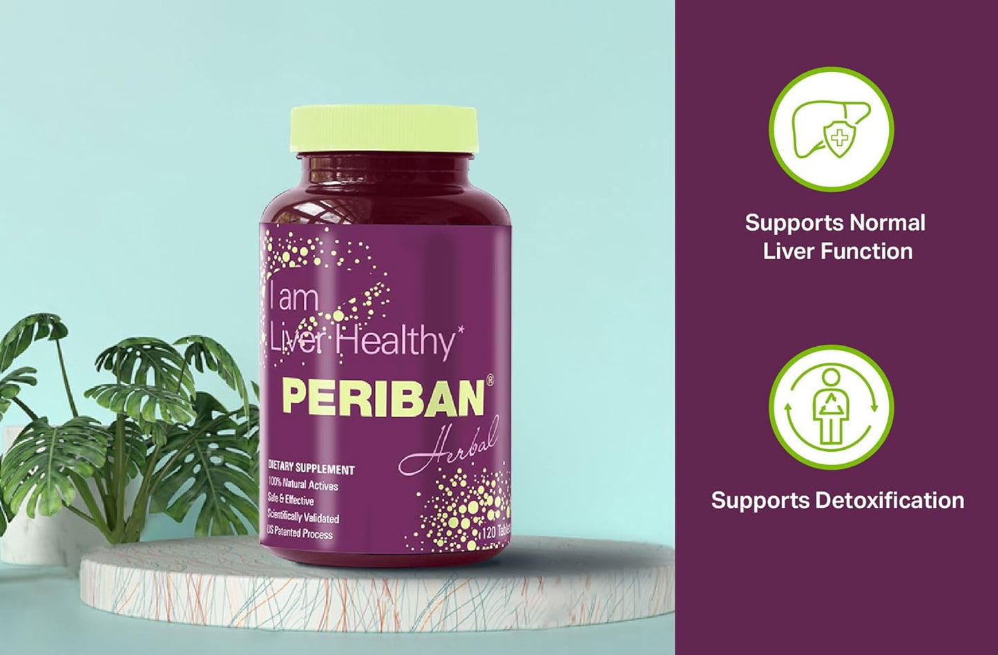 Natural Liver Support Supplement with Andrographis Paniculata, Boerrhavia Diffusa, Tephrosia Purpurea, Phyllanthus Niruri for Immune Health