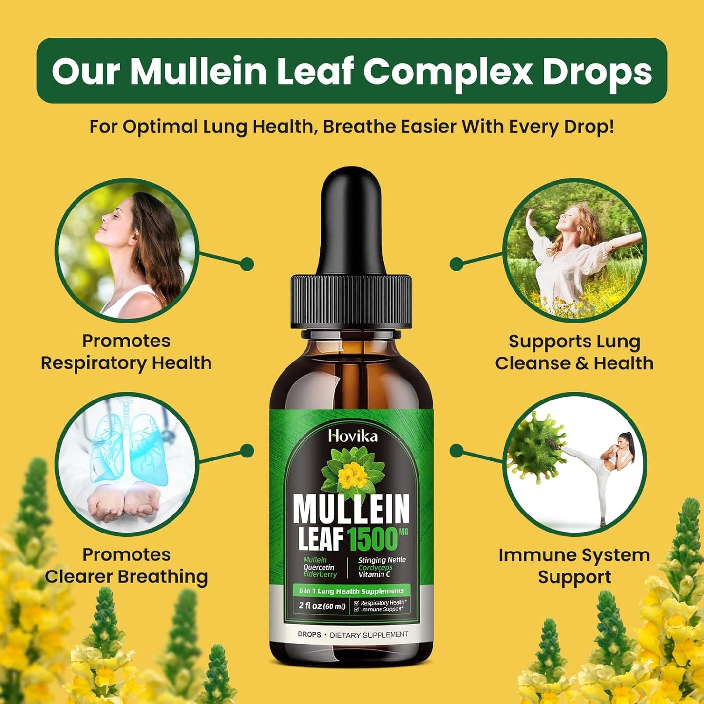 Natural Lung Support Drops - Mullein Leaf Extract with Quercetin, Cordyceps, Elderberry, Stinging Nettle, Vitamin C - 2 Fl Oz