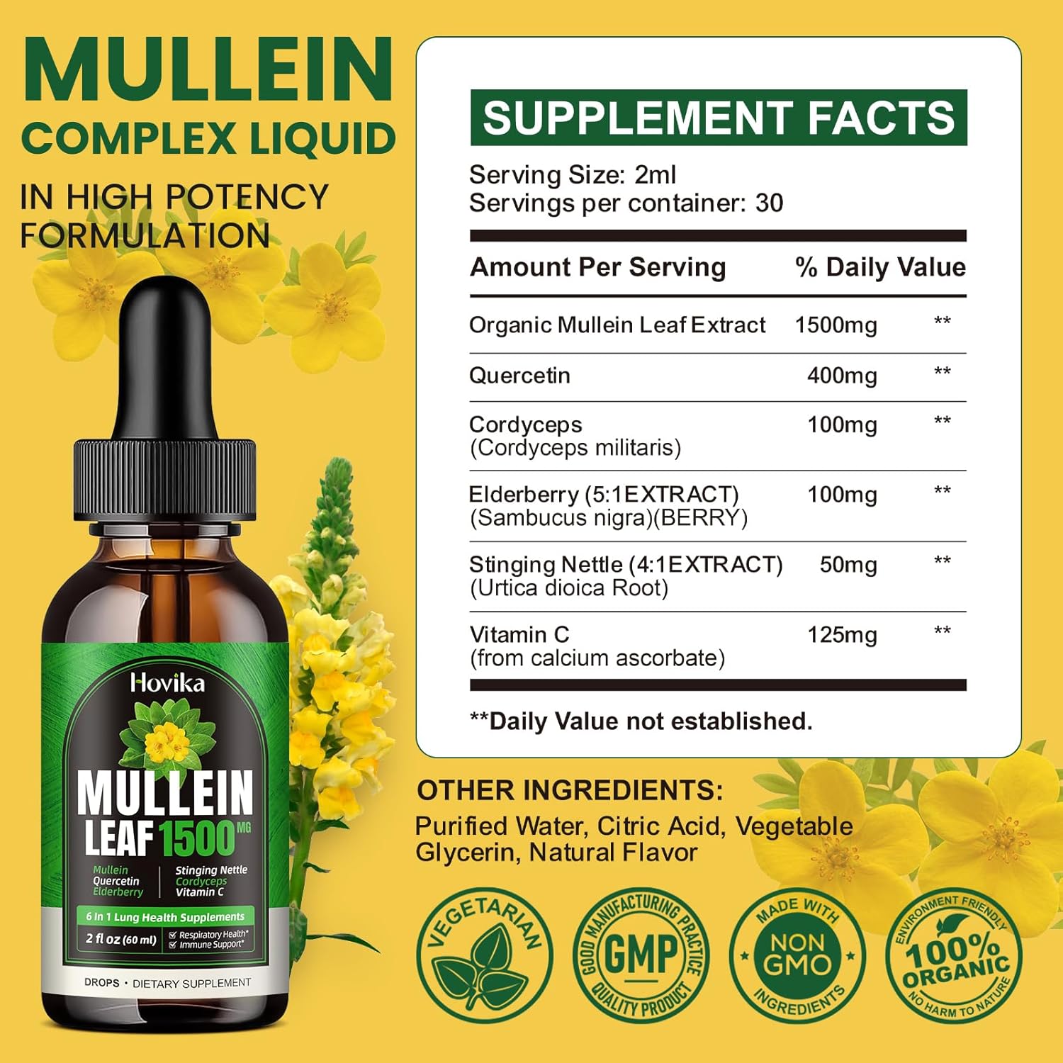 Natural Lung Support Drops - Mullein Leaf Extract with Quercetin, Cordyceps, Elderberry, Stinging Nettle, Vitamin C - 2 Fl Oz