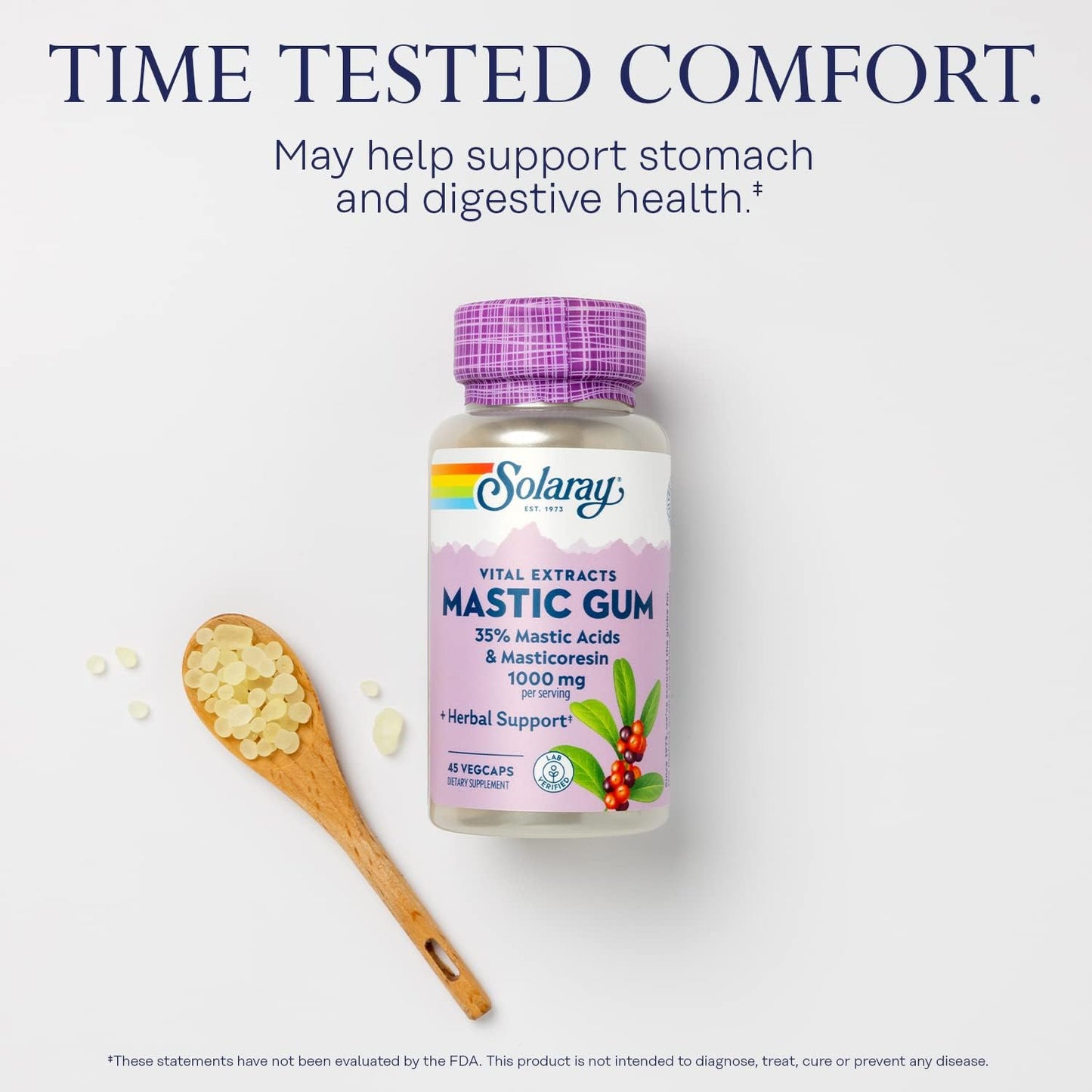 Natural Mastic Gum Extract Capsules - 500 mg, 45 Count - Solaray