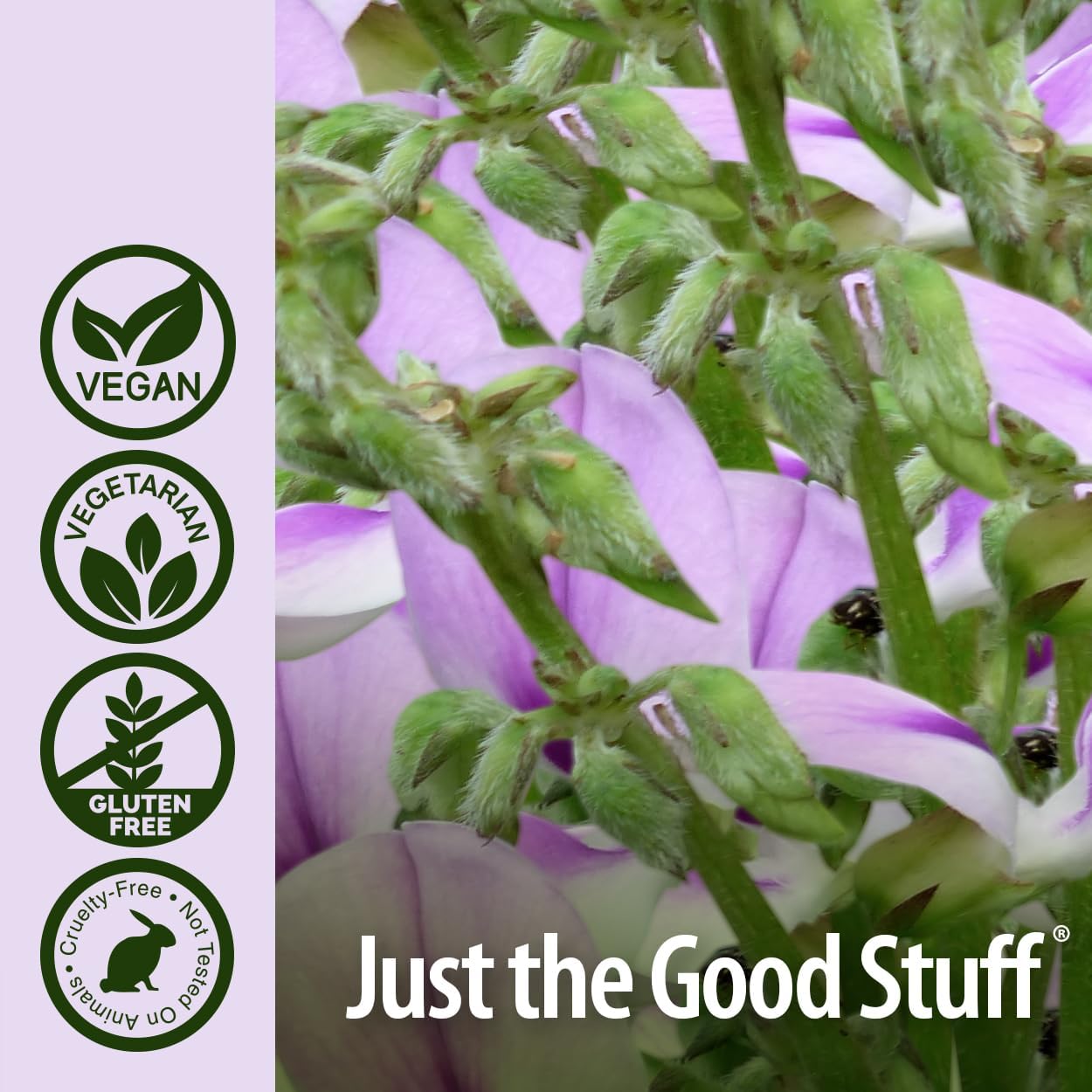 Natural Menopause Aid: Pueraria Mirifica Capsules for Female Support, 60 Count - Promotes Smooth Skin & Hair